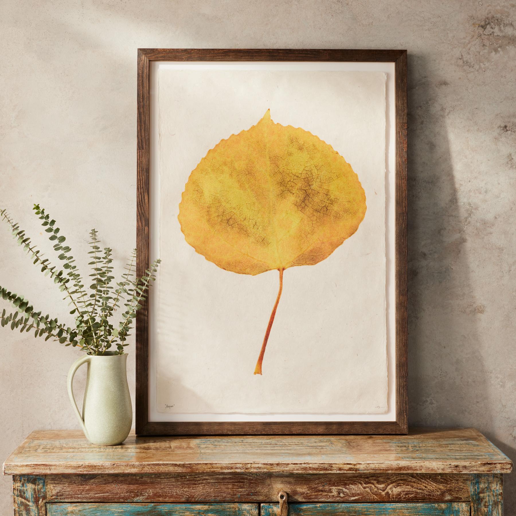Leaf Studies Print - Sundance Clothing