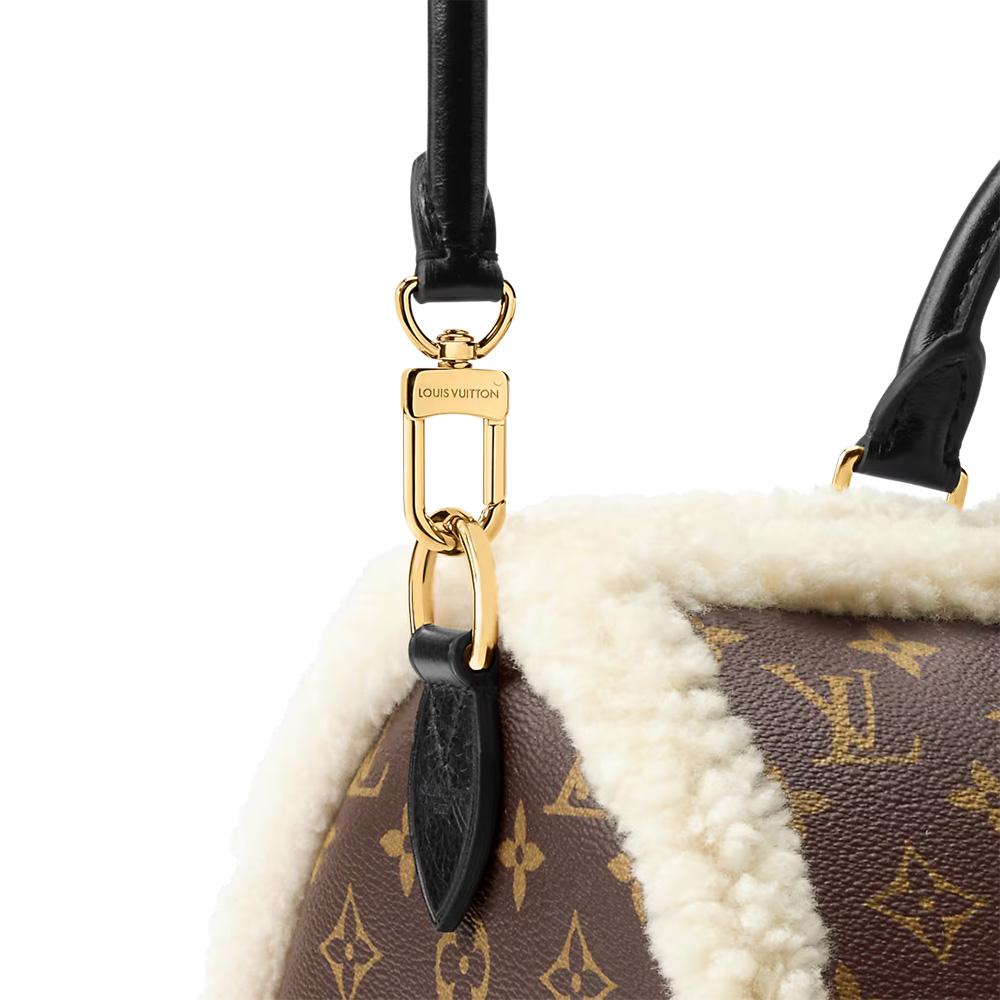 Louis Vuitton Speedy Soft 30 Teddy（10A Mirror Version）1:1High-quality replica
