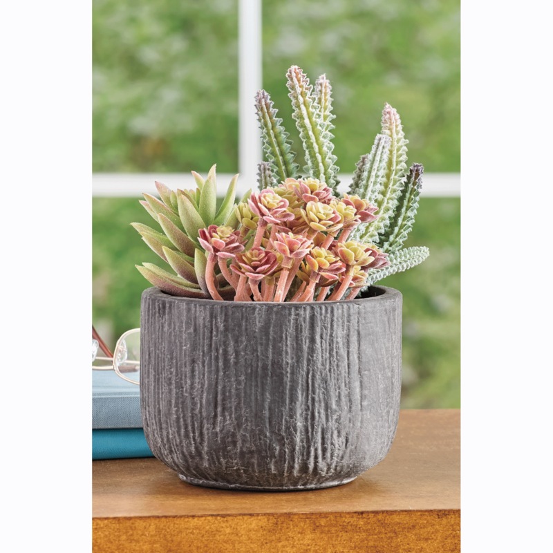 Succulents in Papier-Mâché Pot - MIDNIGHT VELVET CATALOG