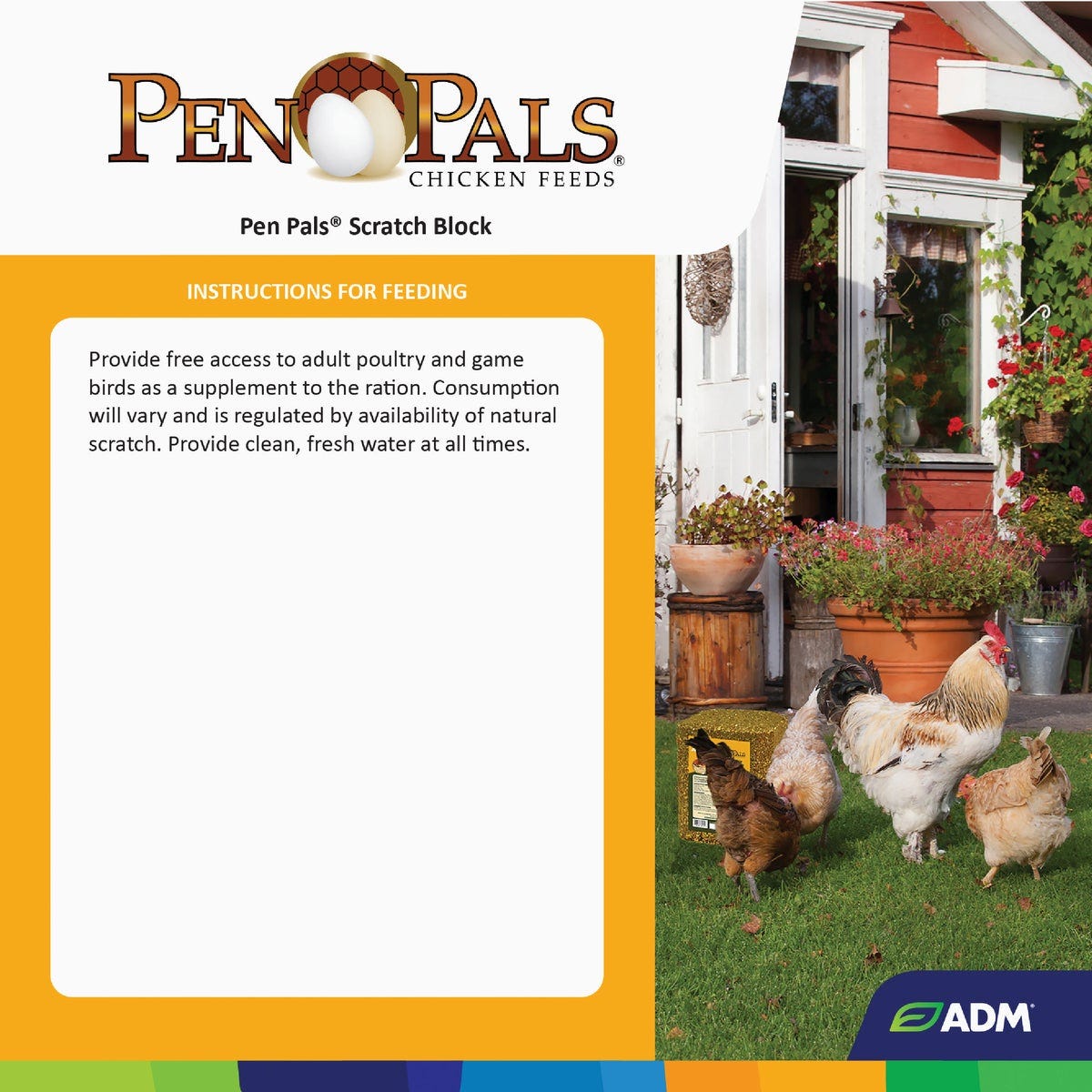 ADM Pen Pals 25 Lb. Poultry Scratch Block Chicken Feed