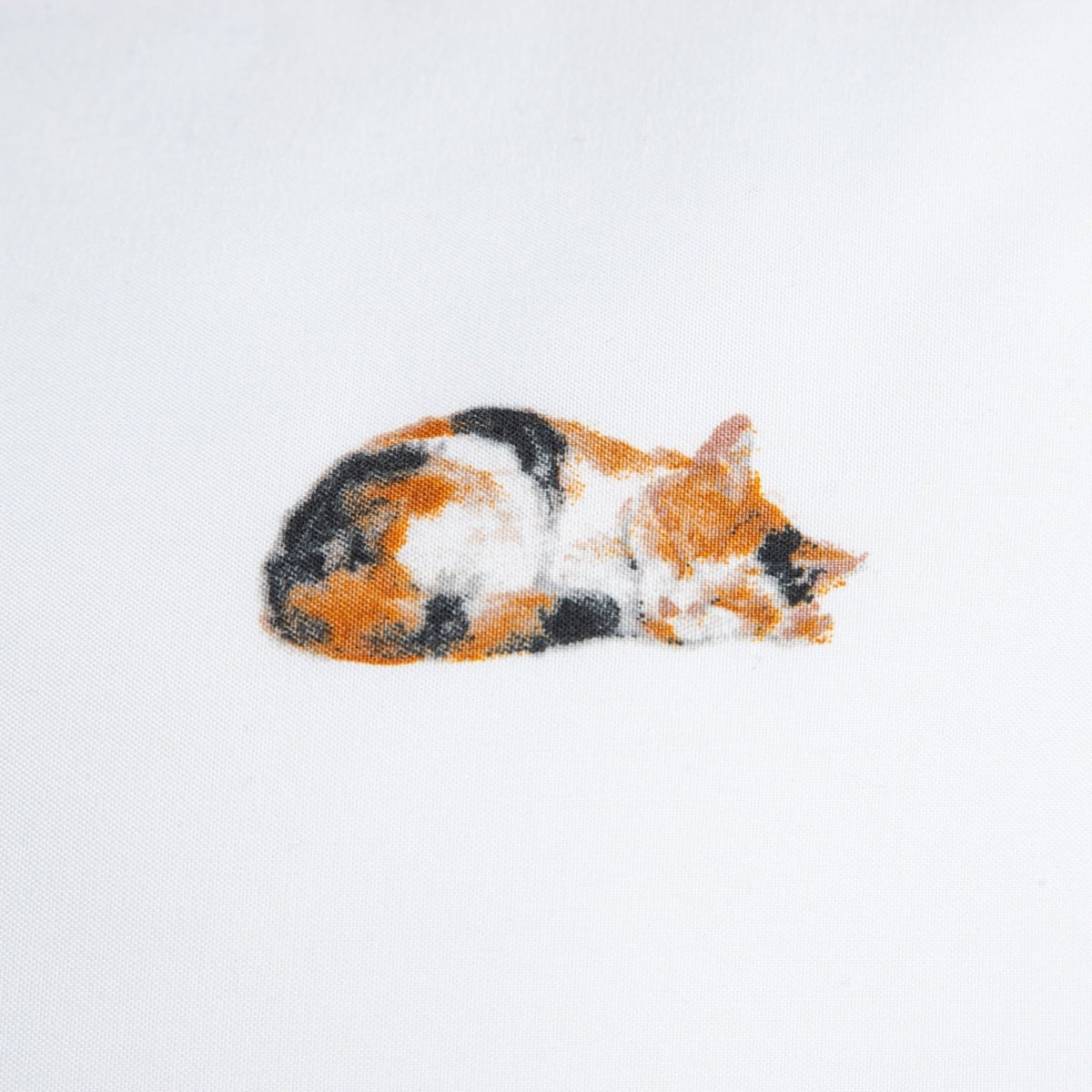 POŚCIEL GATTINO z mikrofibry w kotki 220X200 2X[50X60]