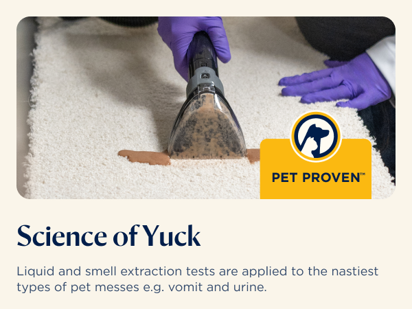 Professional cleaning demonstration extraction process