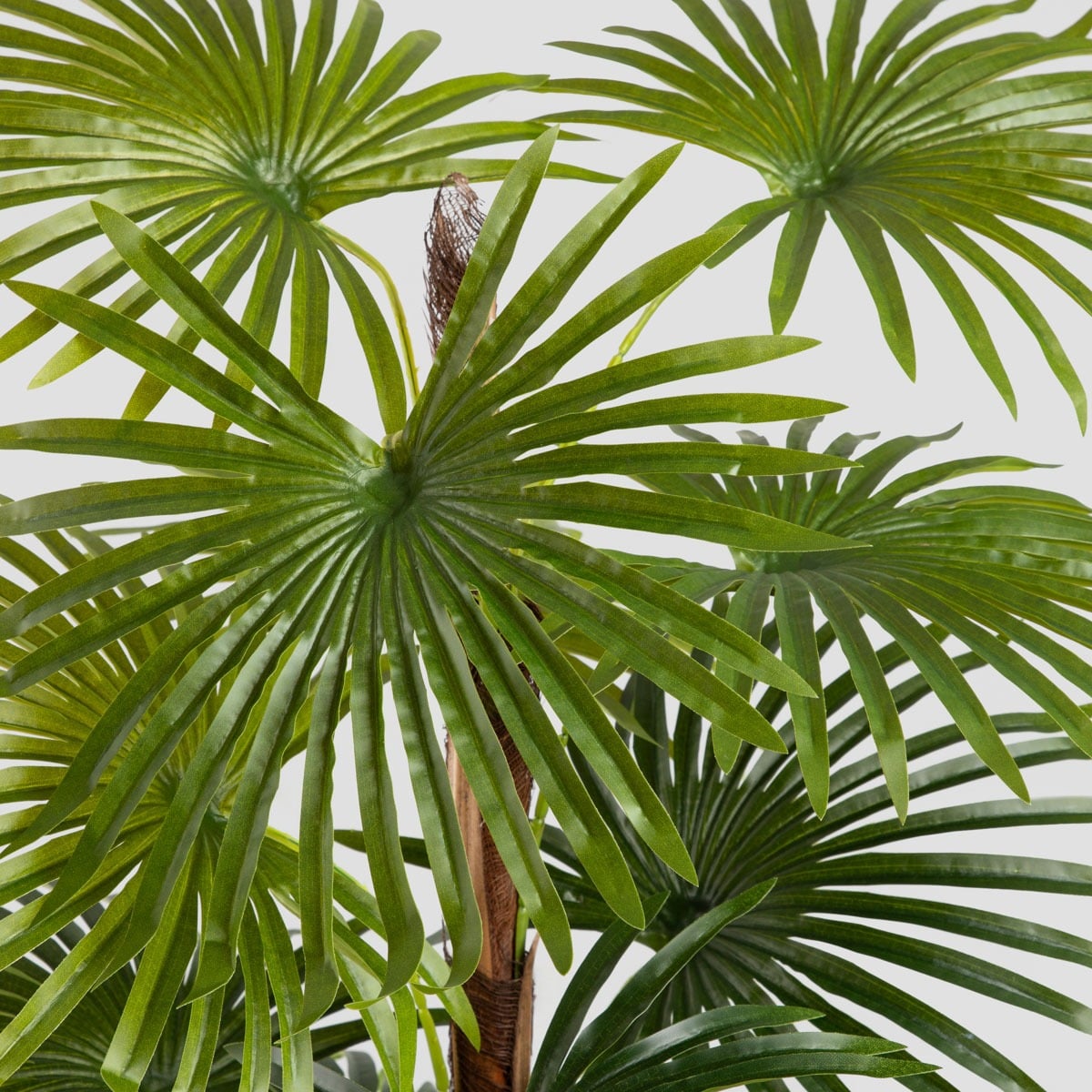 Roślina sztuczna TROPICAL ZONE palma wysoka 150 cm