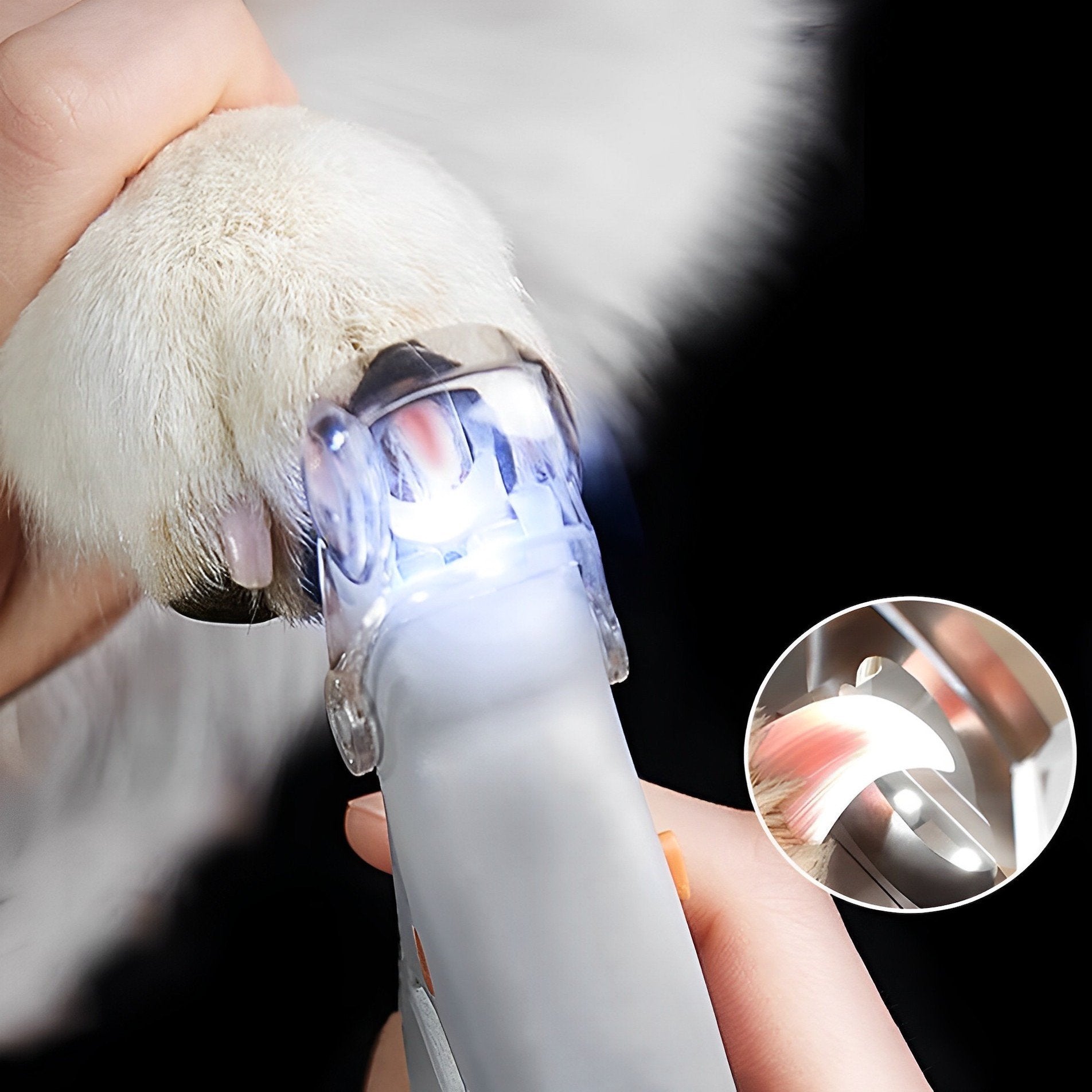 Precisie Nagelknipper voor Huisdieren met LED-Licht en 5x Vergrotende Lens – Veilig en Lichtgewicht Ontwerp
