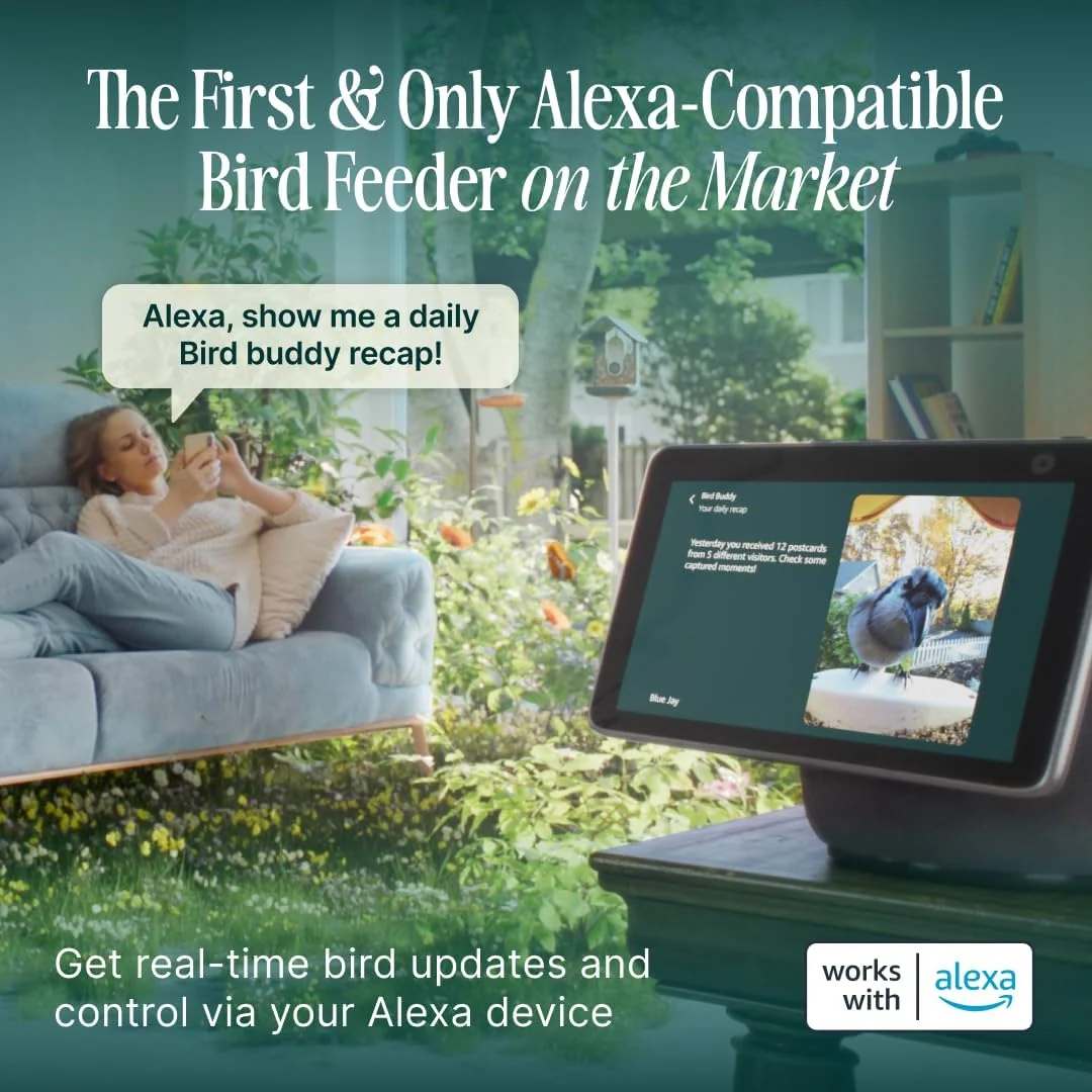 Birdbuddy PRO Solar Smart Bird Feeder With Camera, 5MP Photos, 2K HD Video, Blue - PRO - Image 8 Birdbuddy PRO Solar Smart Bird Feeder With Camera, 5MP Photos, 2K HD Video, Blue - PRO - Image 8