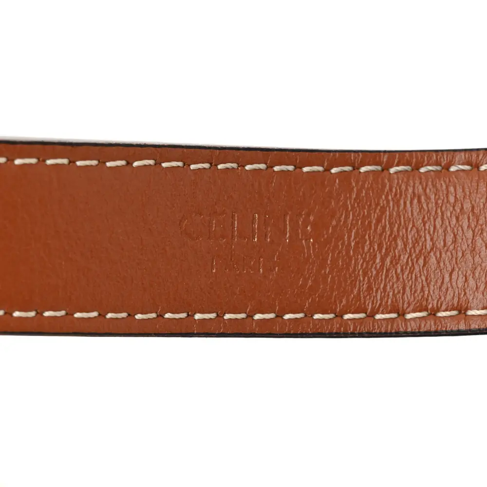 Celine Ava Triomphe Bag Replica with Gold Hardware1:1High-quality replica