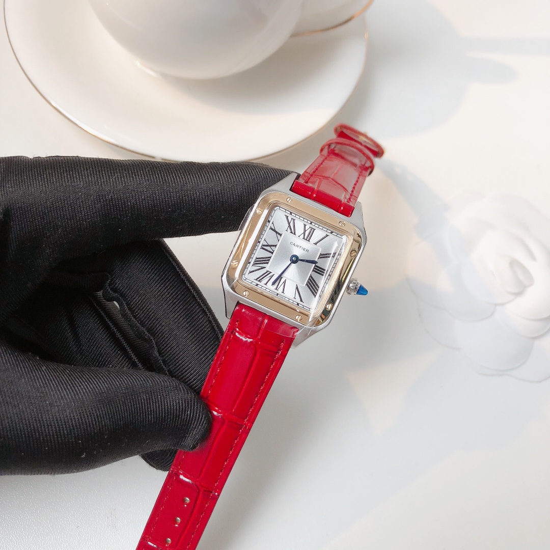 Santos Demoisell Santos Collection - Stainless Steel Mini Model Red(1:1 replica) - Top club