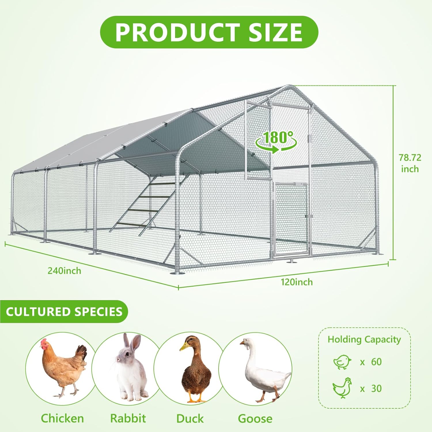 Metal Chicken Run With Feeding Door, Anti-UV Cover And Perch - 6-5x10-ft, 13x10-ft, 20x10-ft Or 26x10-ft