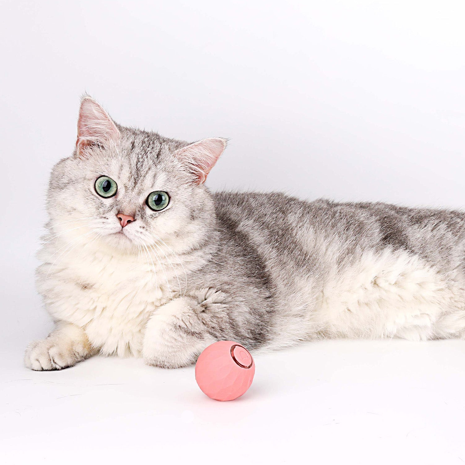 Interactief Rollend Kattenspeeltje met Drie Speelmodi – Stimuleert Jachtinstincten