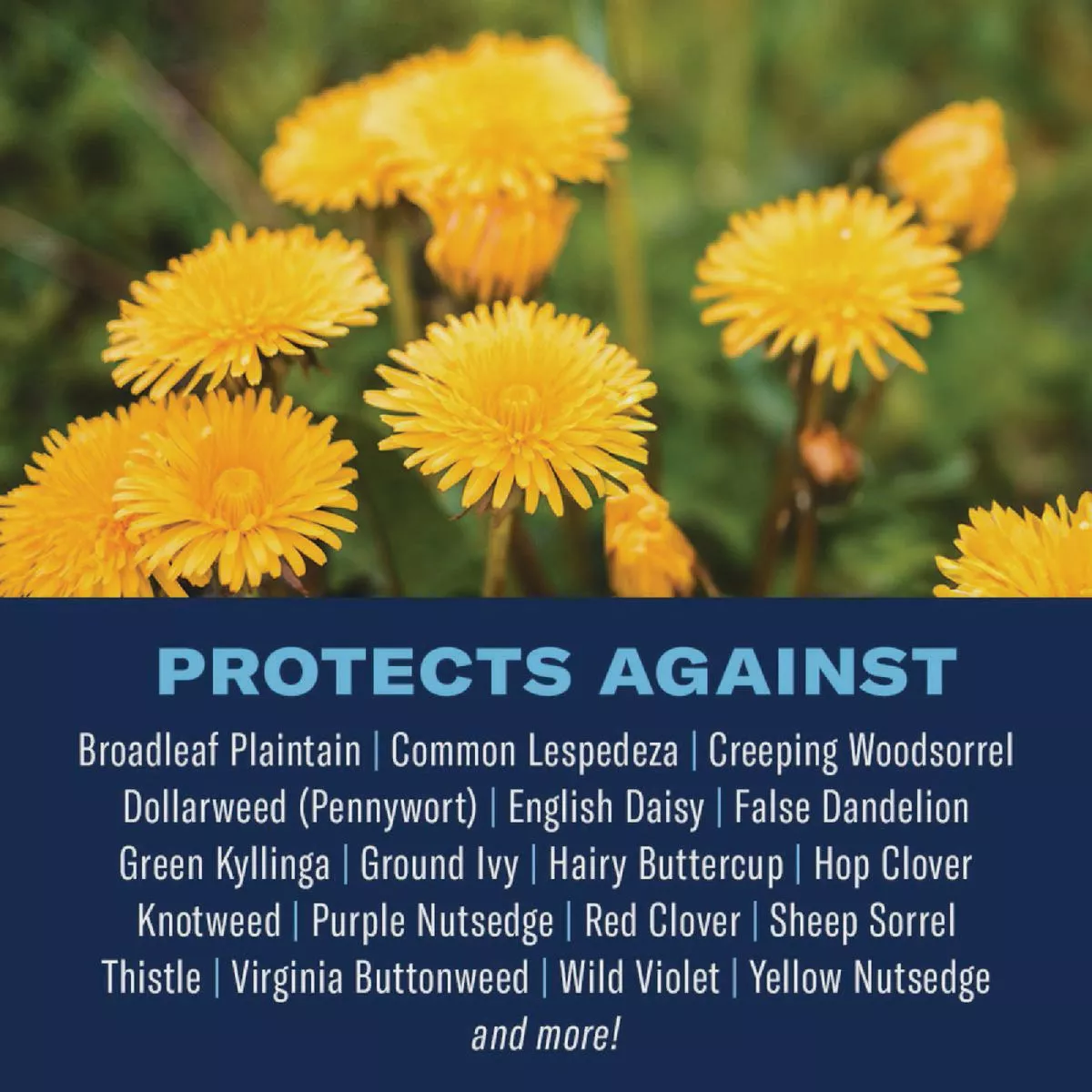 BioAdvanced 3-In-1 20 Lb. Southern Weed & Feed