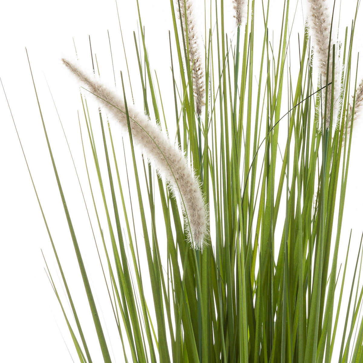 Artificial grass in a pot "cat tails" H.70 cm