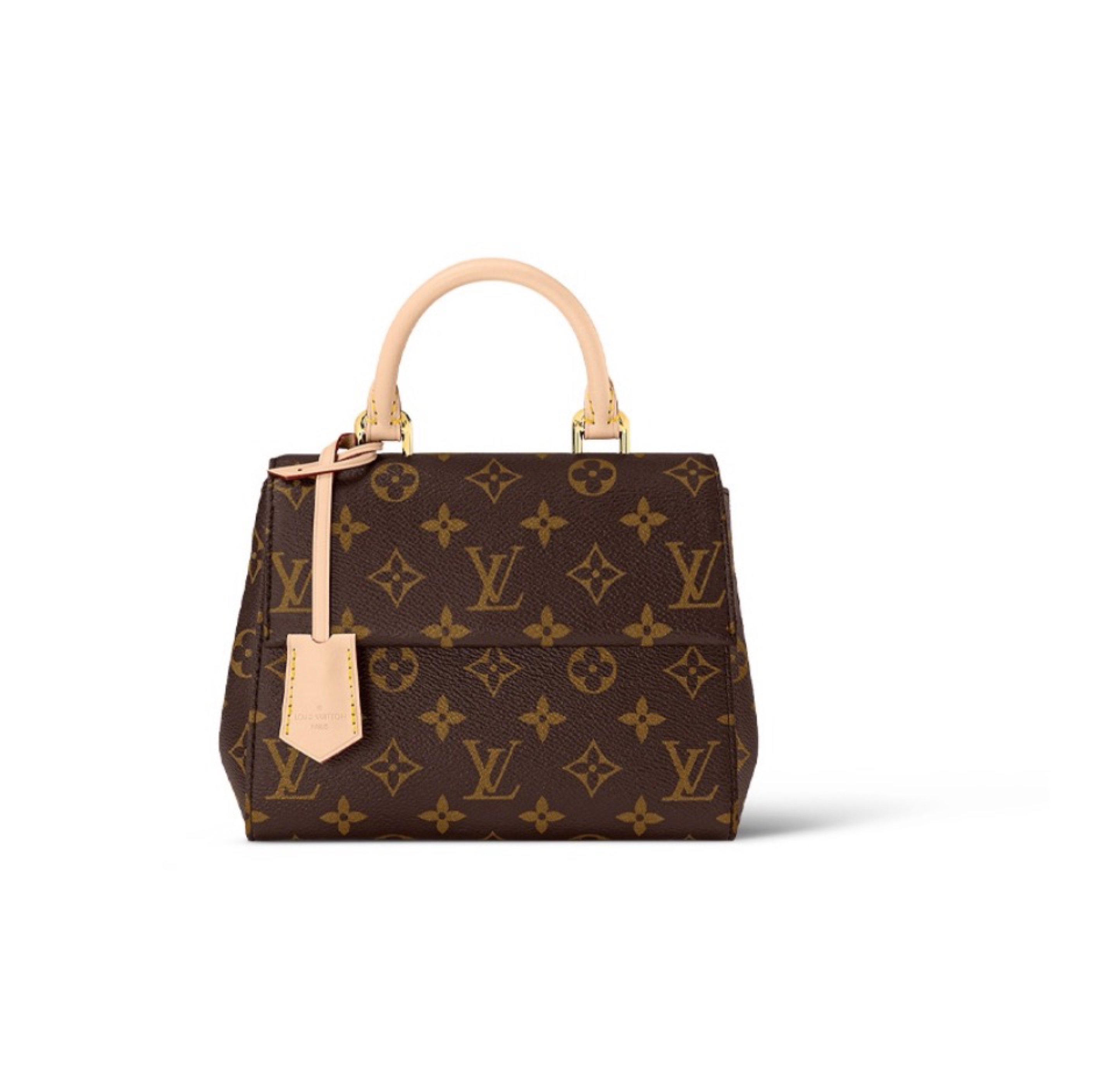 Louis Vuitton LV Cluny Leather Shoulder Crossbody Bag M46055&M460541:1High-quality replica