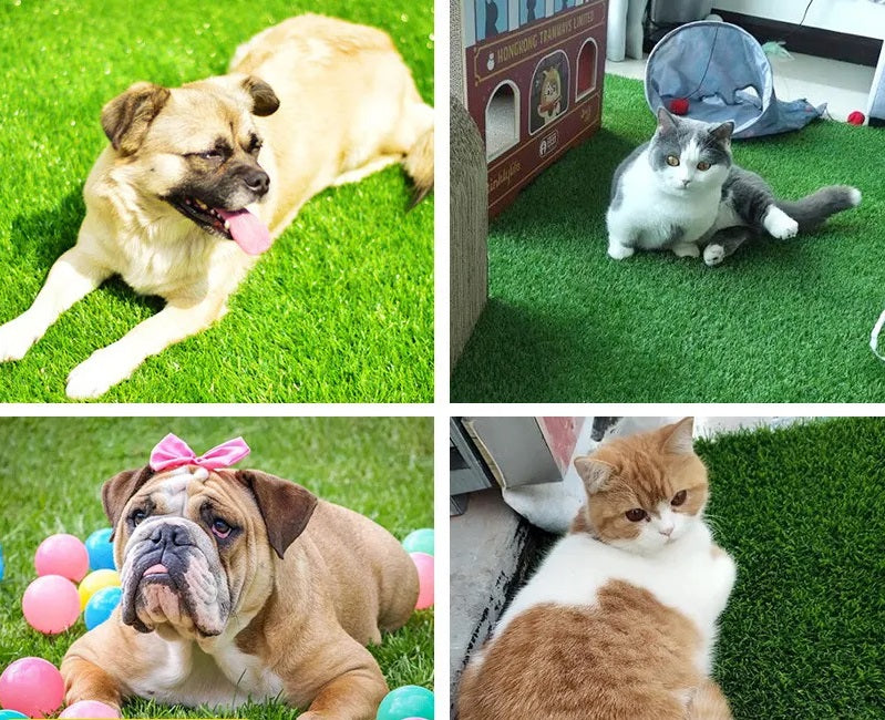 PawLawn | Binnen/Buiten Hondengrasmat met Lekbeveiliging