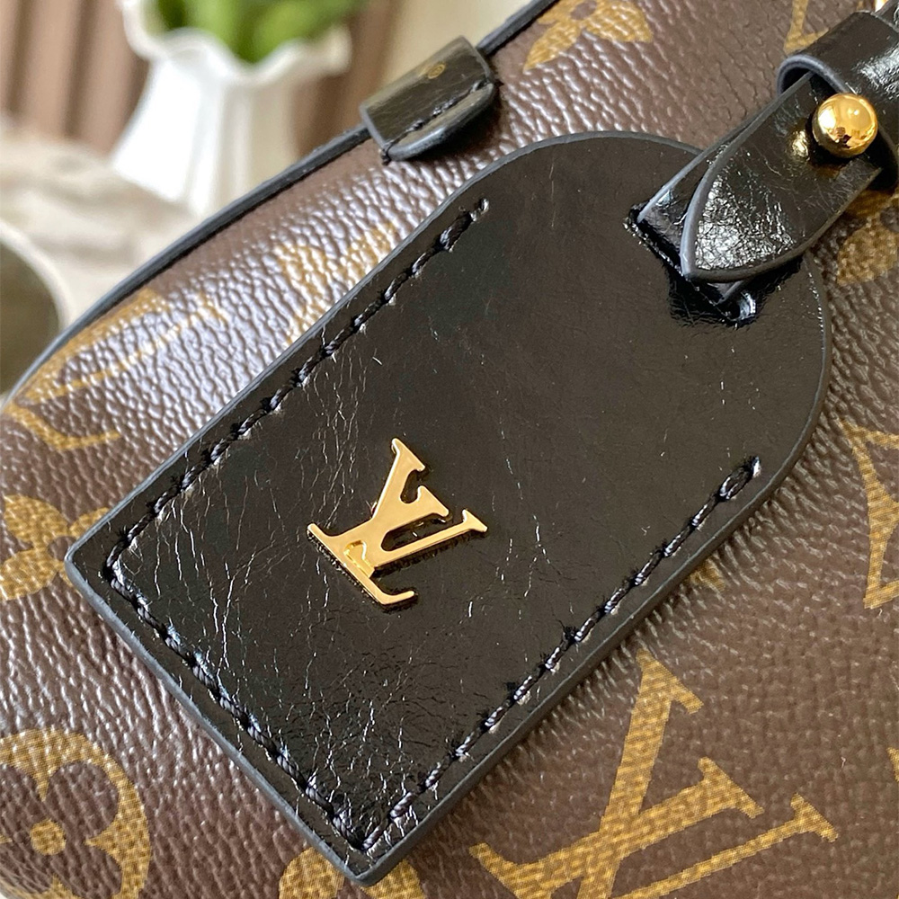 Louis Vuitton CarryAll BB （10A Mirror Version）1:1High-quality replica