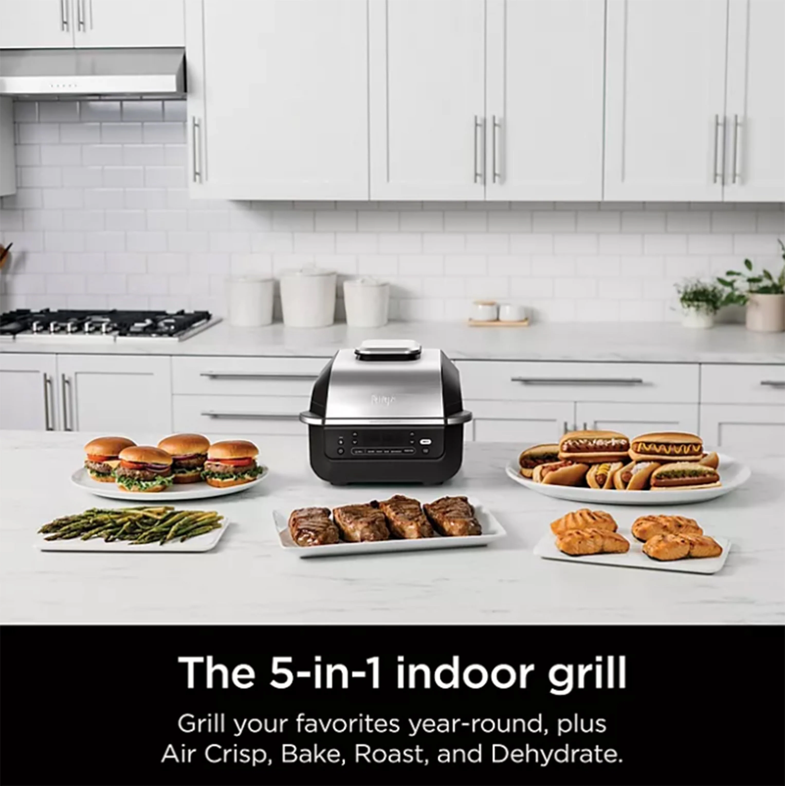 Ninja EG351A Foodi Smart Digital 5-in-1 Indoor Grill & Air Fryer with Built in Thermometer(Silver)