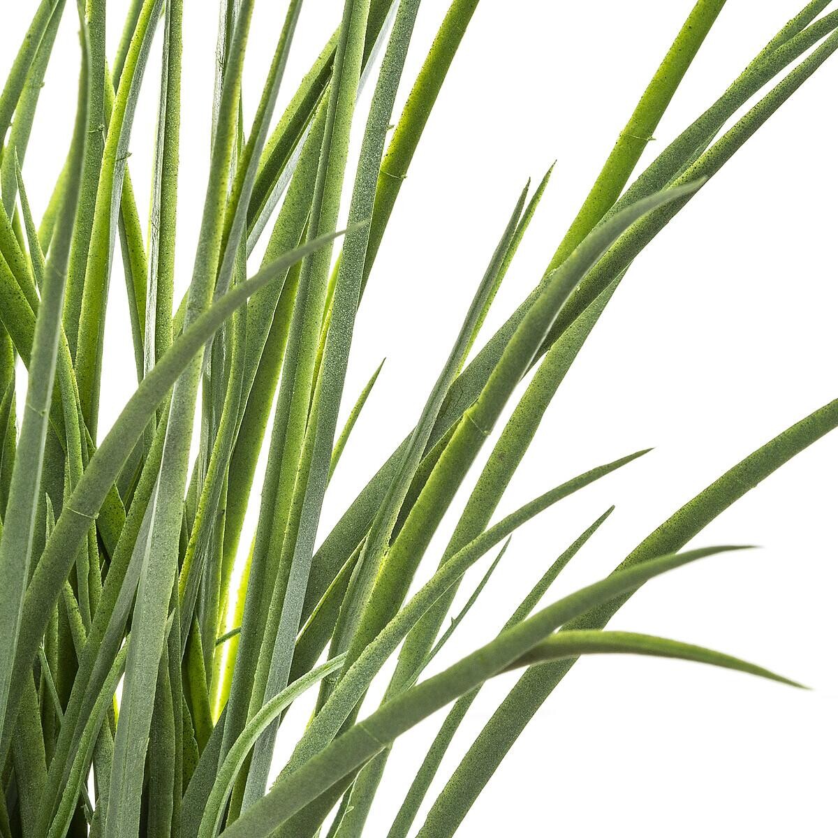 Artificial grass H49 cm