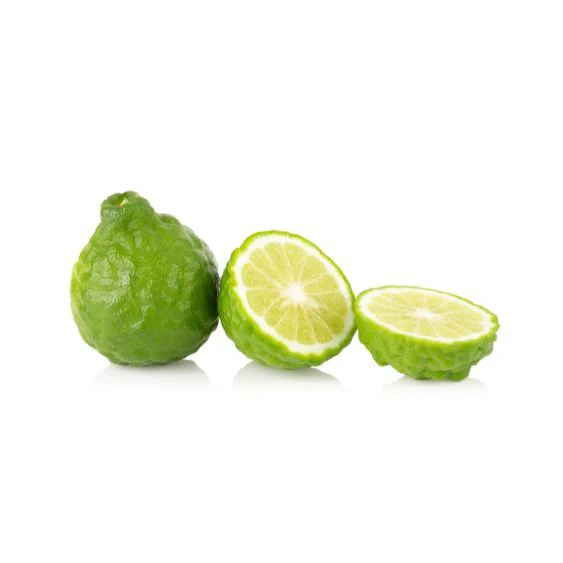 Kaffir lime – Exotic citrus fruit for curries, cocktails & desserts