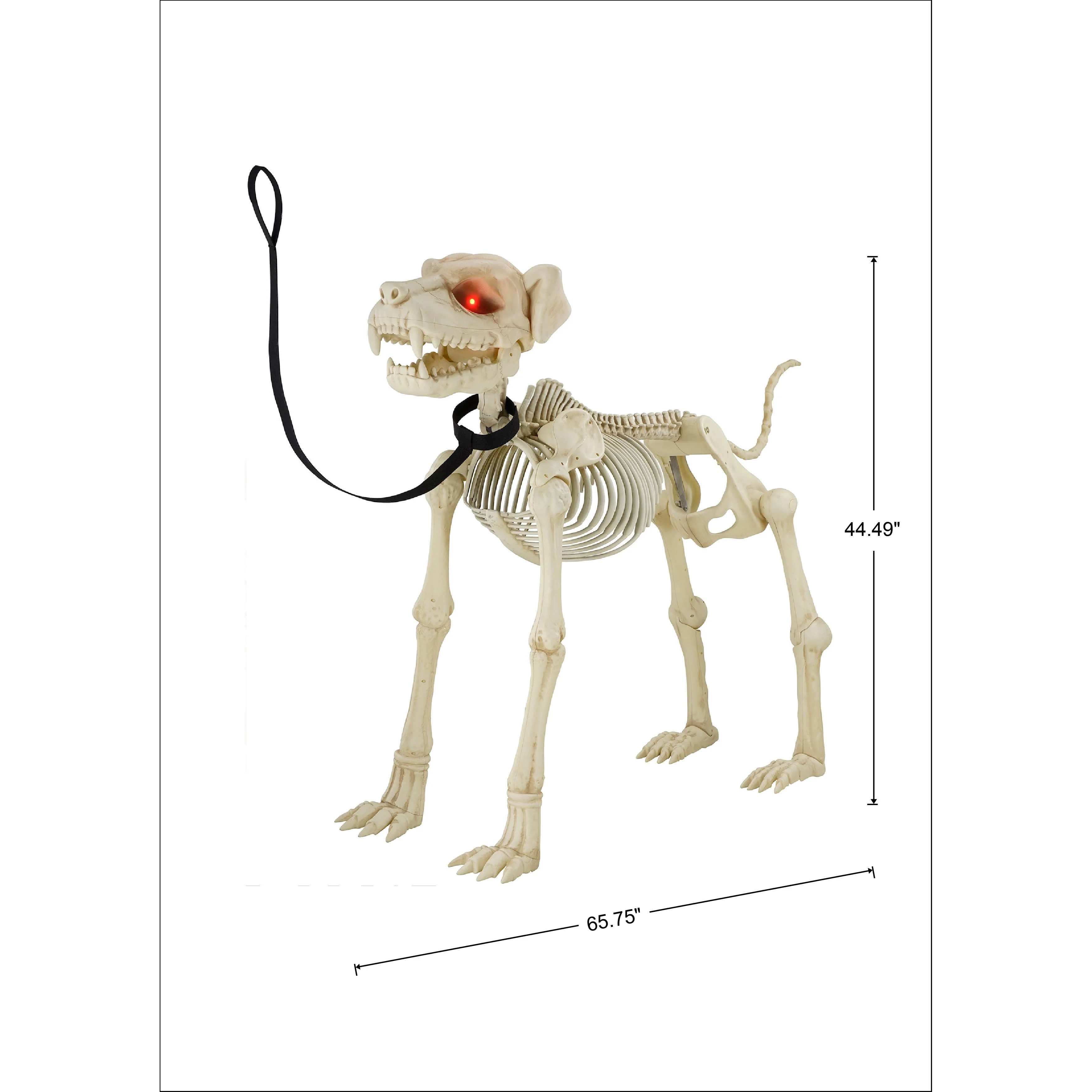 Way To Celebrate Animated Skeleton Dog Halloween Decoration, Beige, 60 in - Image 7 Way To Celebrate Animated Skeleton Dog Halloween Decoration, Beige, 60 in - Image 7