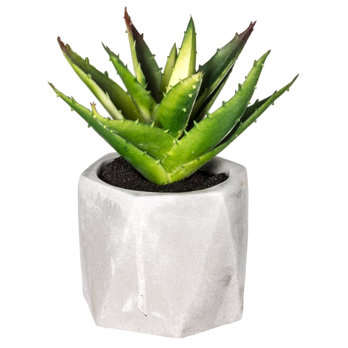 Artificial succulent plant Cement pot, H.14 cm