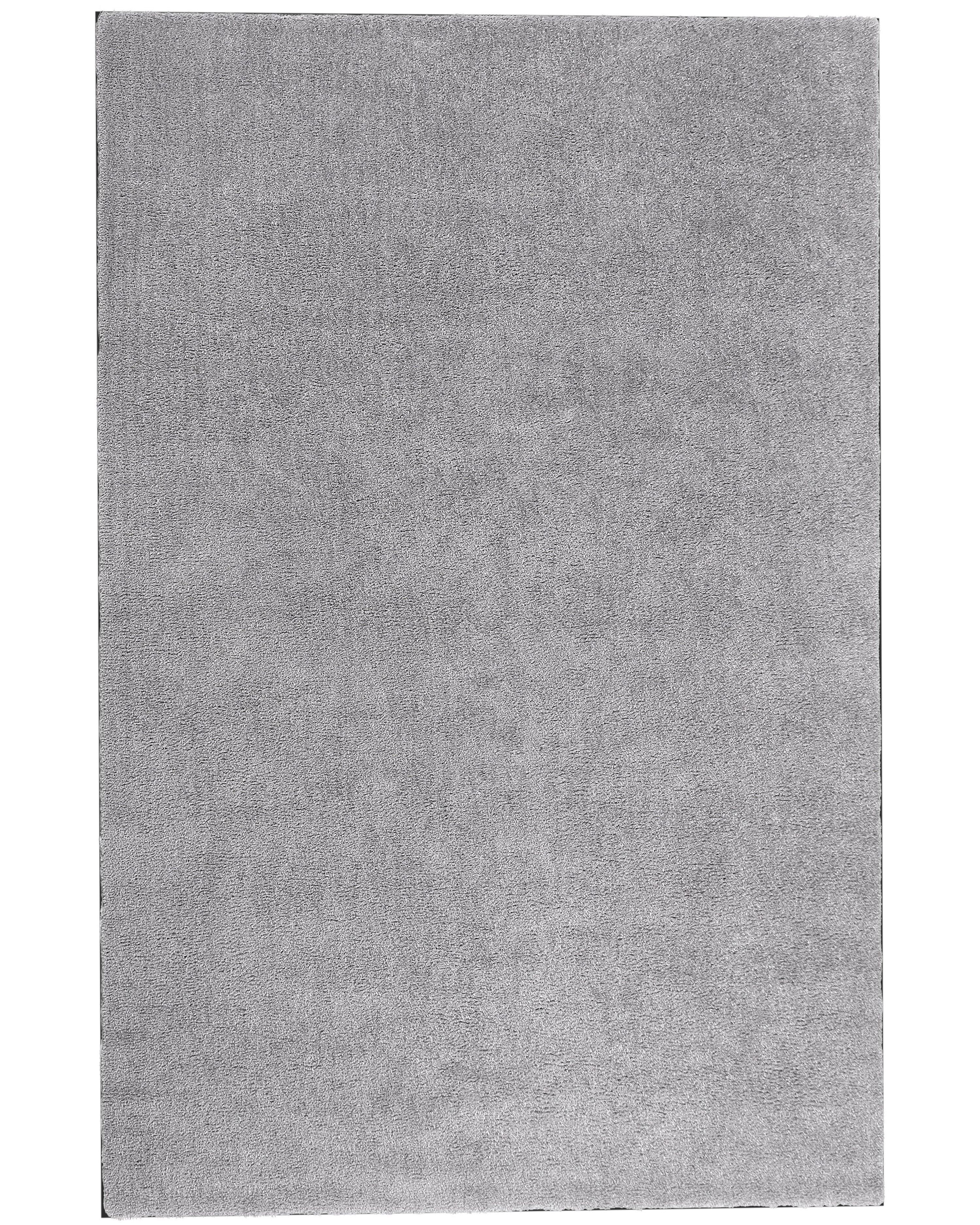 Shaggy Rug DEMRE Light Grey 200 x 300 cm