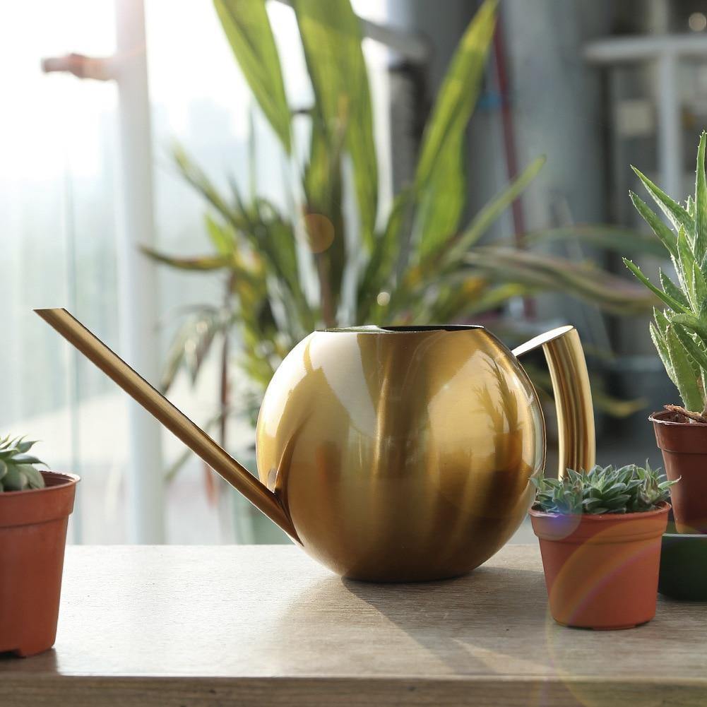 FlowStream - Slanke Gieter met Nauwkeurige Gietmond - Duurzame Metalen Gieter voor Kamerplanten