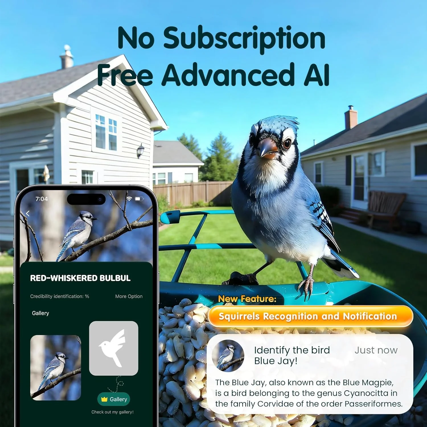 Humbirdy Smart Bird Feeder With Camera, 4K Ultra HD, Solar Powered, 2.4G/5G Wi-Fi - Image 3 Humbirdy Smart Bird Feeder With Camera, 4K Ultra HD, Solar Powered, 2.4G/5G Wi-Fi - Image 3