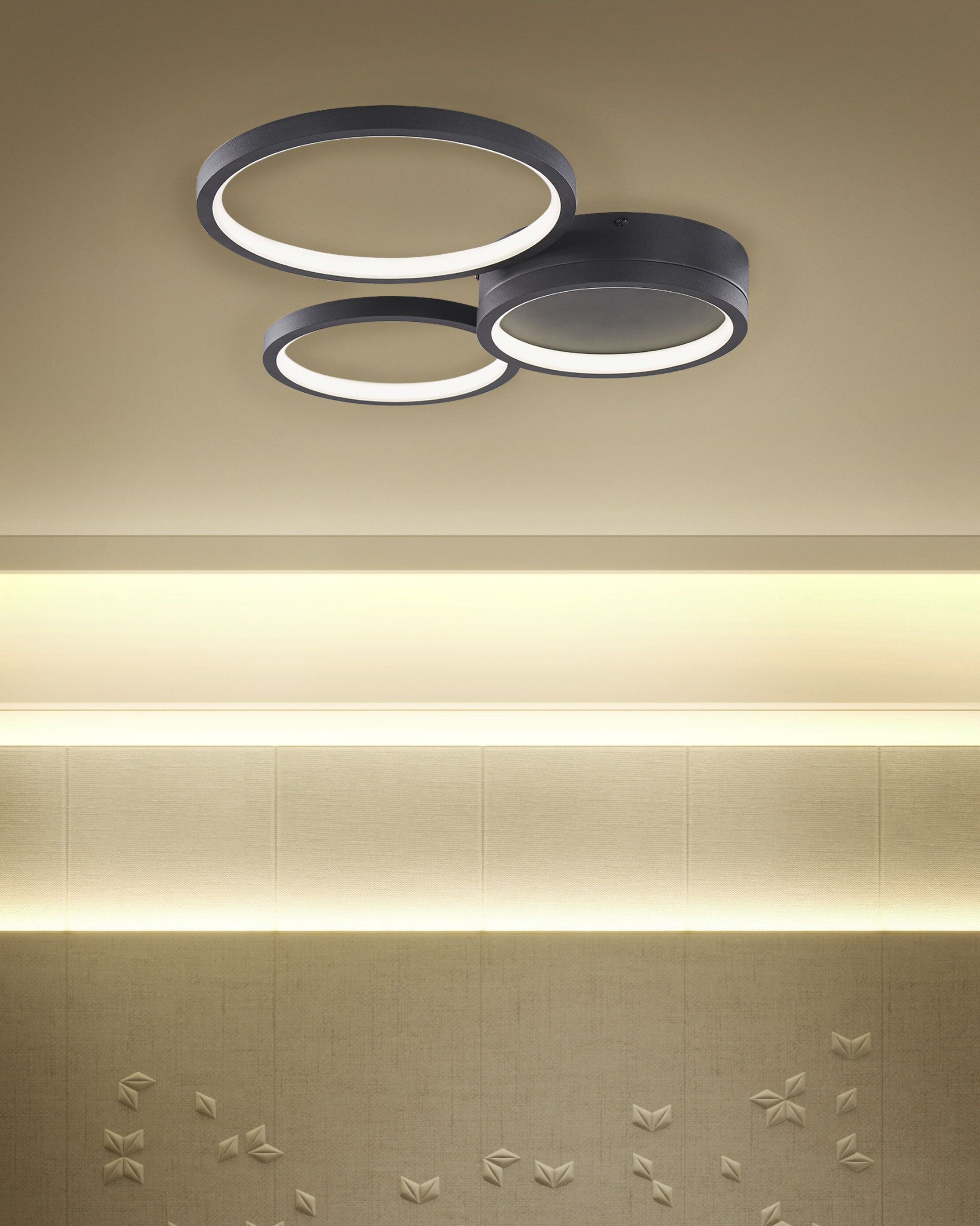 LED Ceiling Lamp AGNAT Metal Black