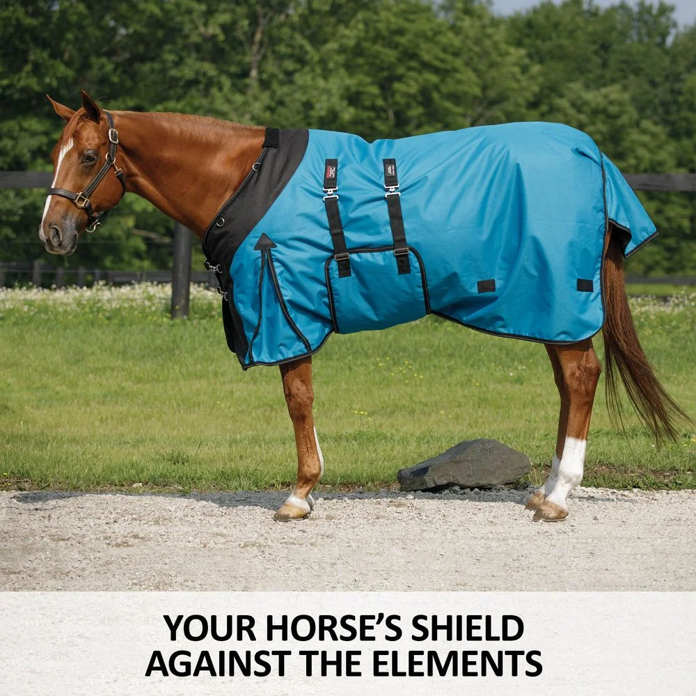 STORM SHIELD Classic II Medium Horse Turnout Blanket | Color Royal | Size 74