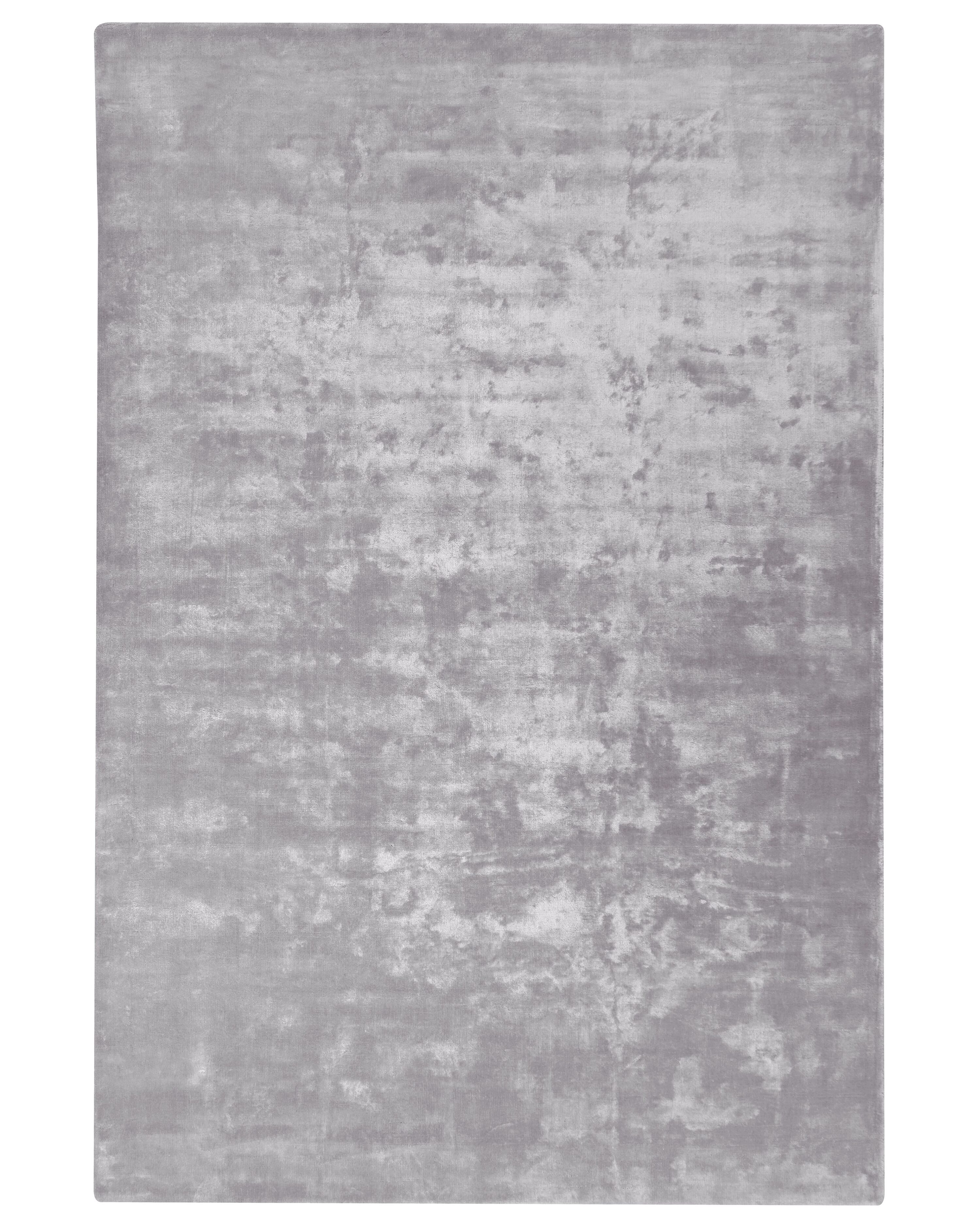 Rug GESI II Light Grey 200 x 300 cm Viscose