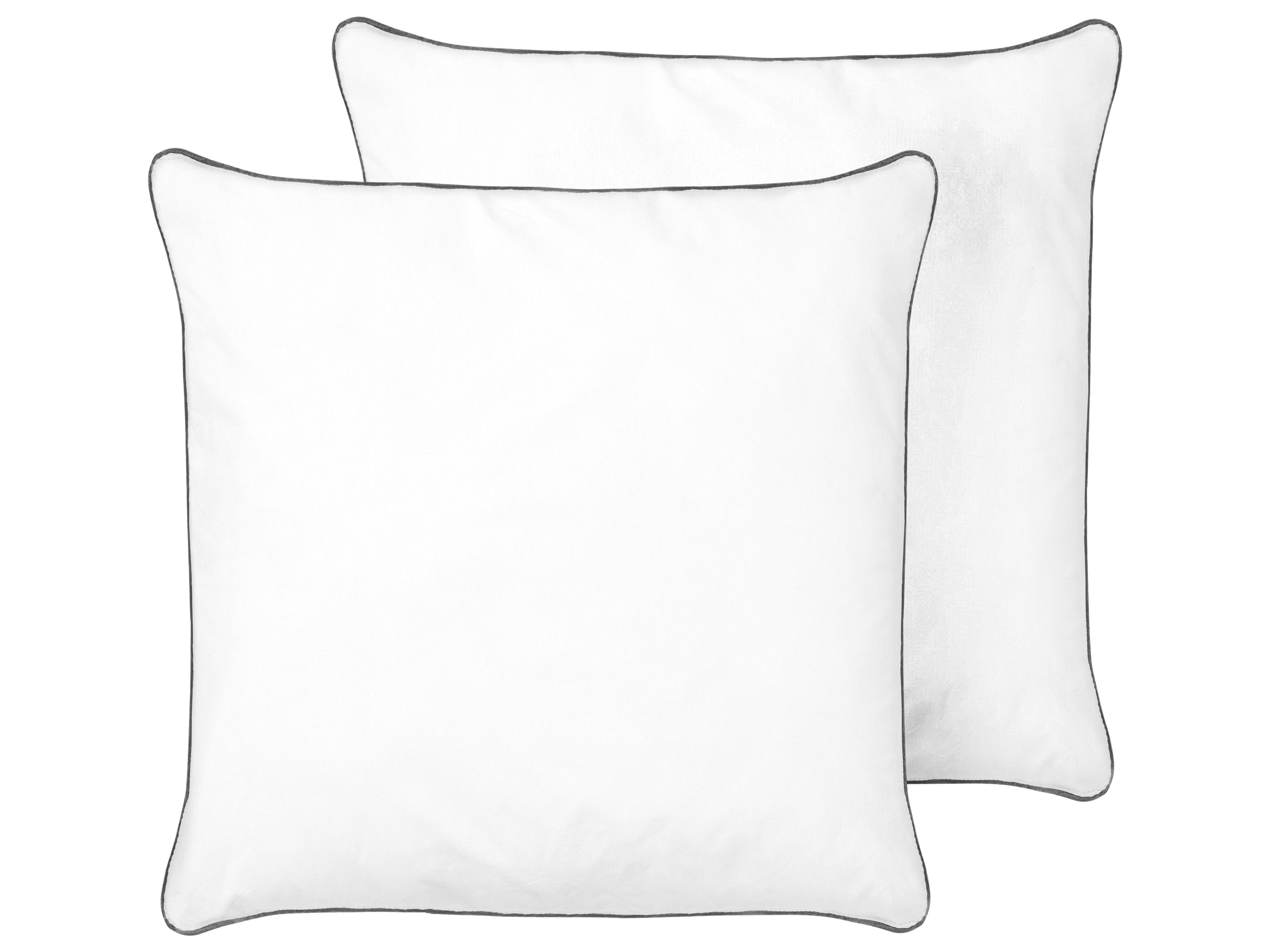 Set of 2 Pillows PELISTER High Microfibre 80 x 80 cm White