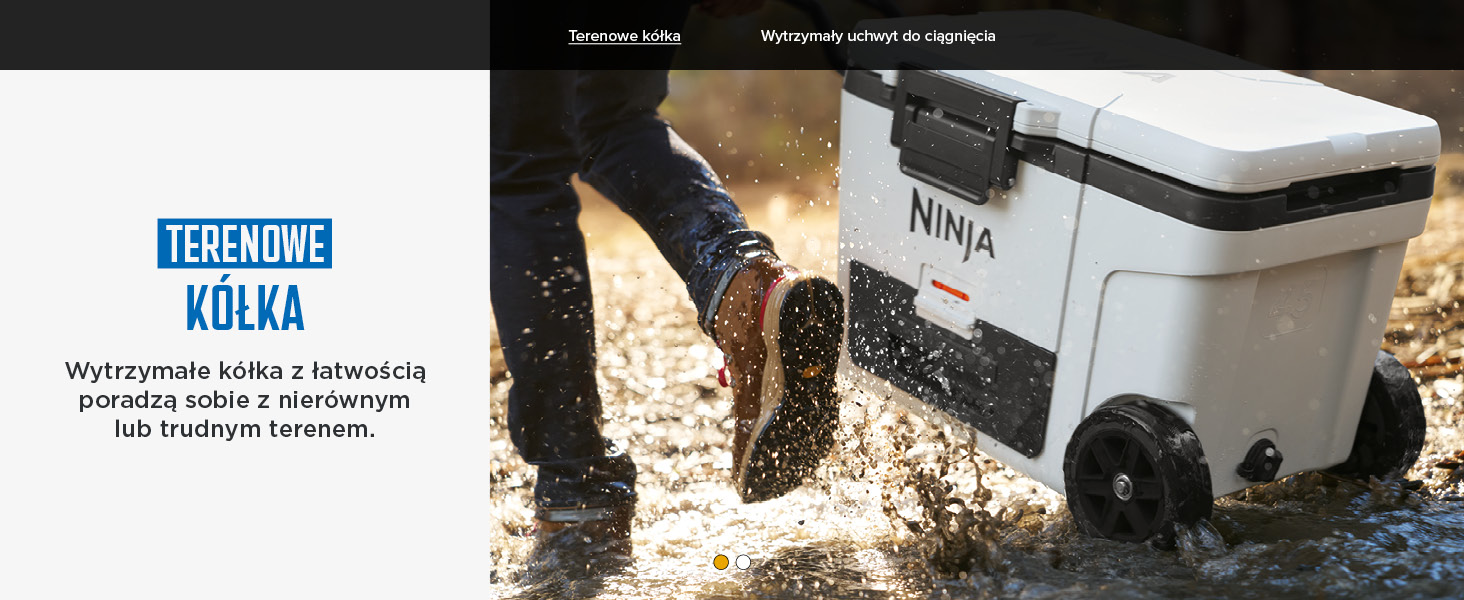 Ninja FrostVault wytrzymała lodówka z izolacją