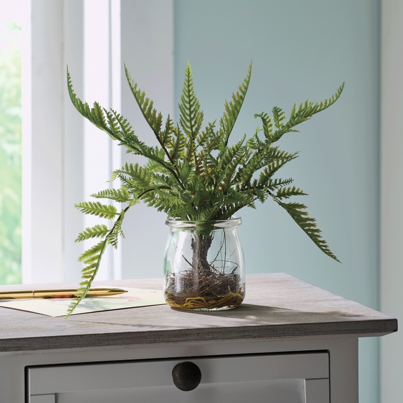 Faux Fern in Glass Jar - MIDNIGHT VELVET CATALOG