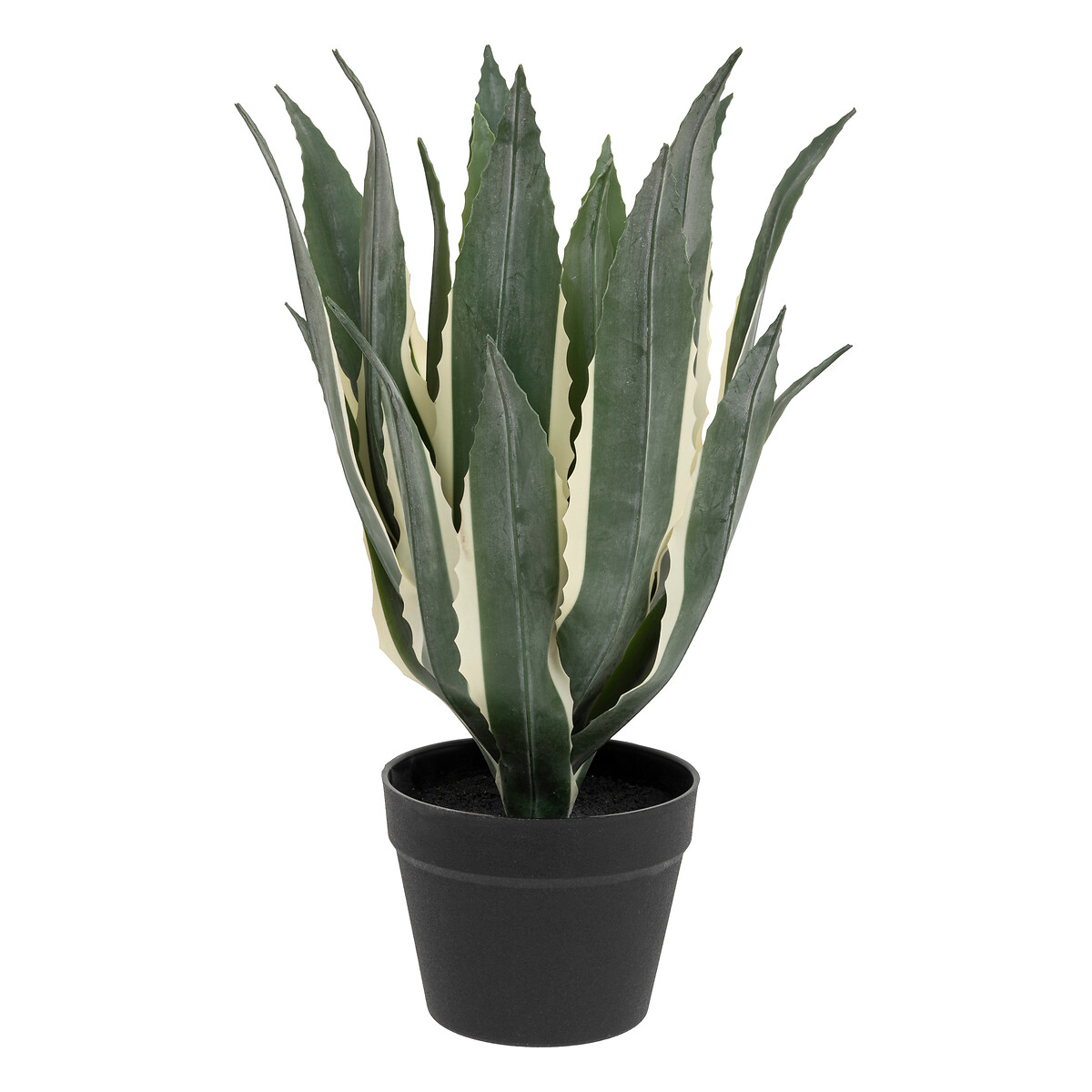 Artificial agave Black pot, H.55 cm