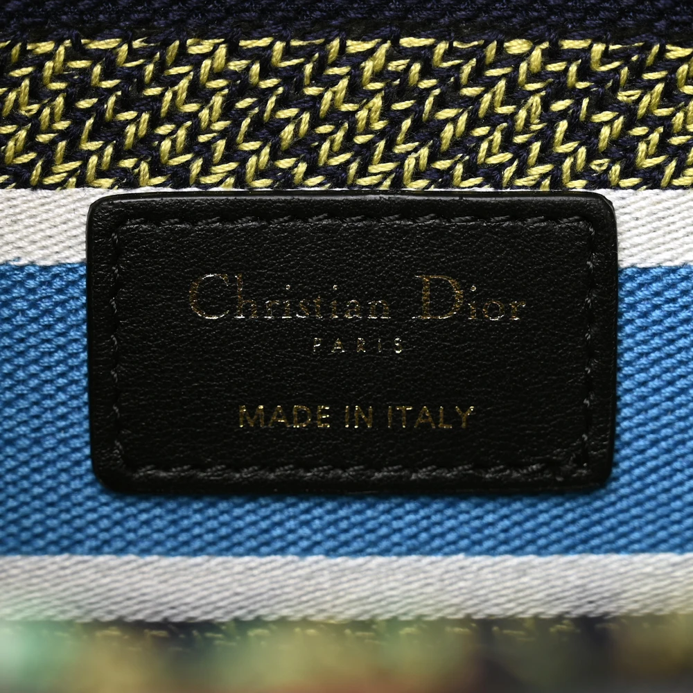 Dior Blue Multicolor Embroidered Canvas Medium D-Constellation Lady D-Lite Gold Hardware High-end reps