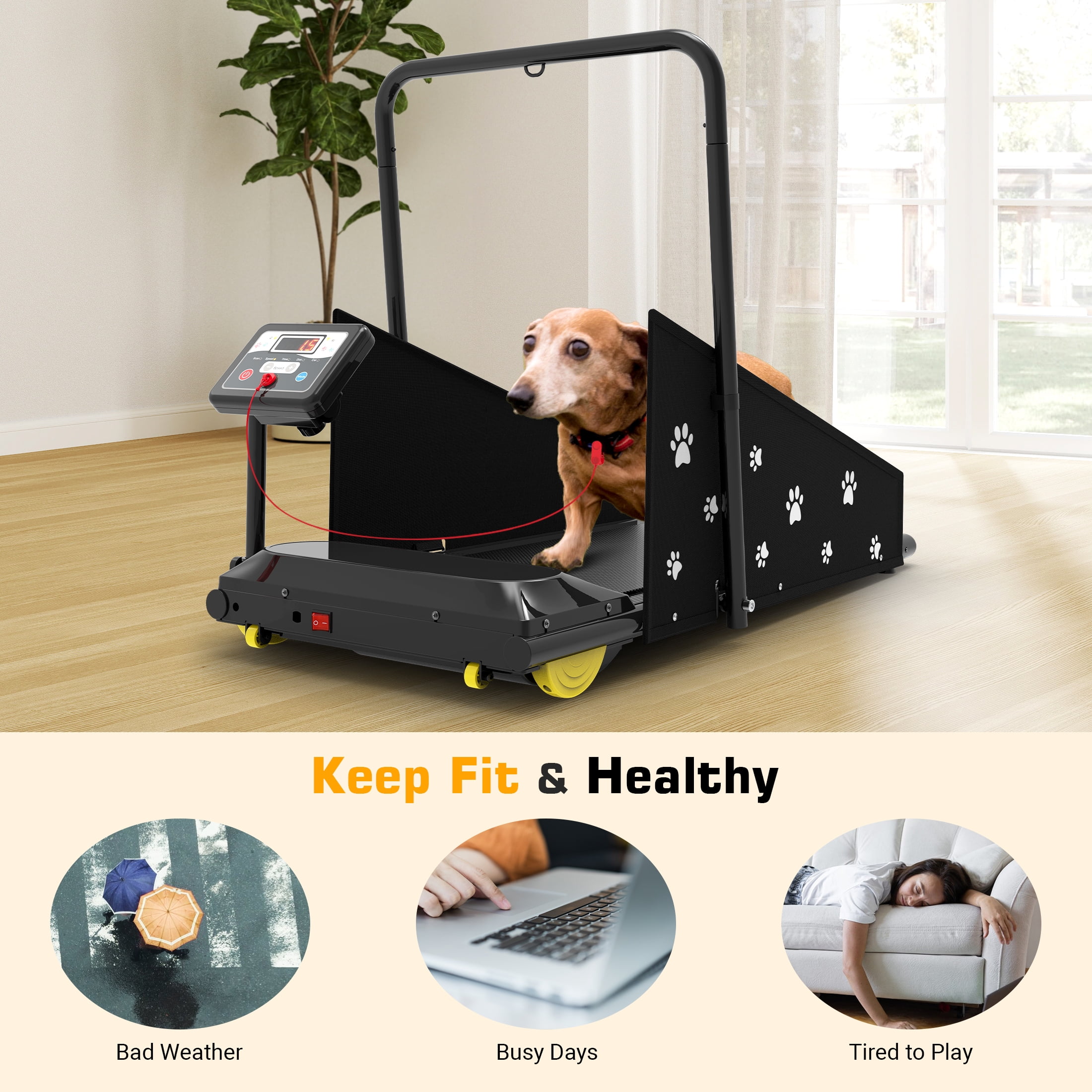 Hapycity Dog Treadmill, Indoor Pet Fitness Machine for Small & Medium Dogs, 265LB Capacity, LCD Display & Remote - Image 7