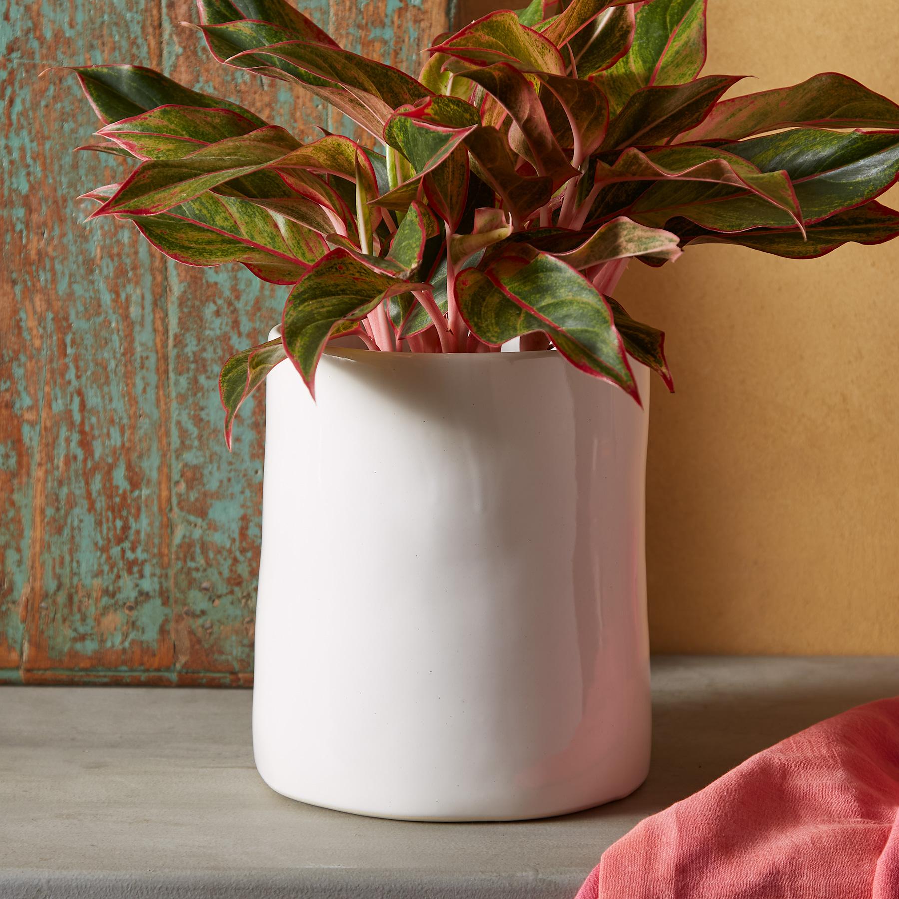 Modern Vase - Sundance Clothing