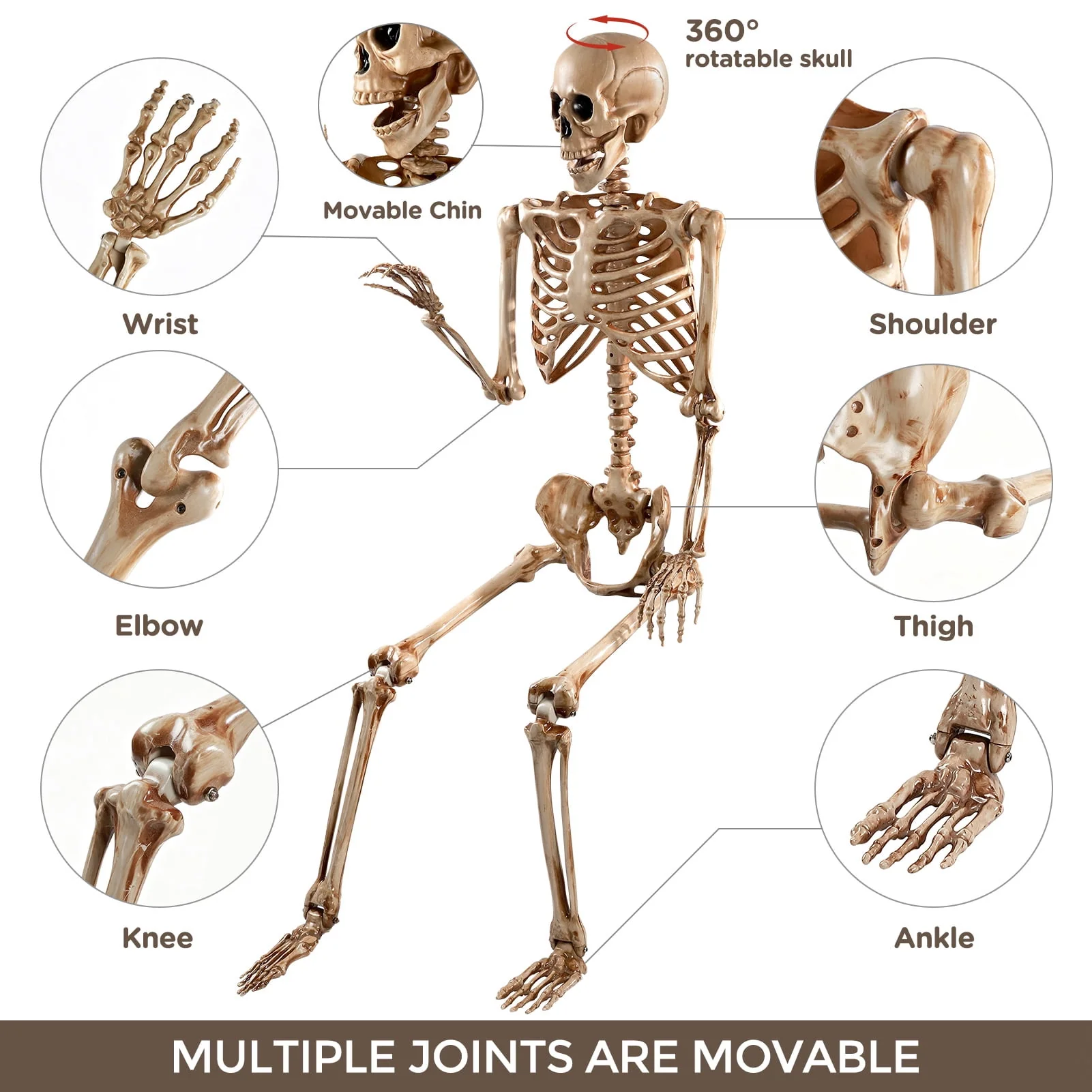 Ayieyill 5.4ft Halloween Skeleton Decorations, Weathered Posable Skeleton Decor for Halloween Decorations Outdoor Indoor - Image 6 Ayieyill 5.4ft Halloween Skeleton Decorations, Weathered Posable Skeleton Decor for Halloween Decorations Outdoor Indoor - Image 6