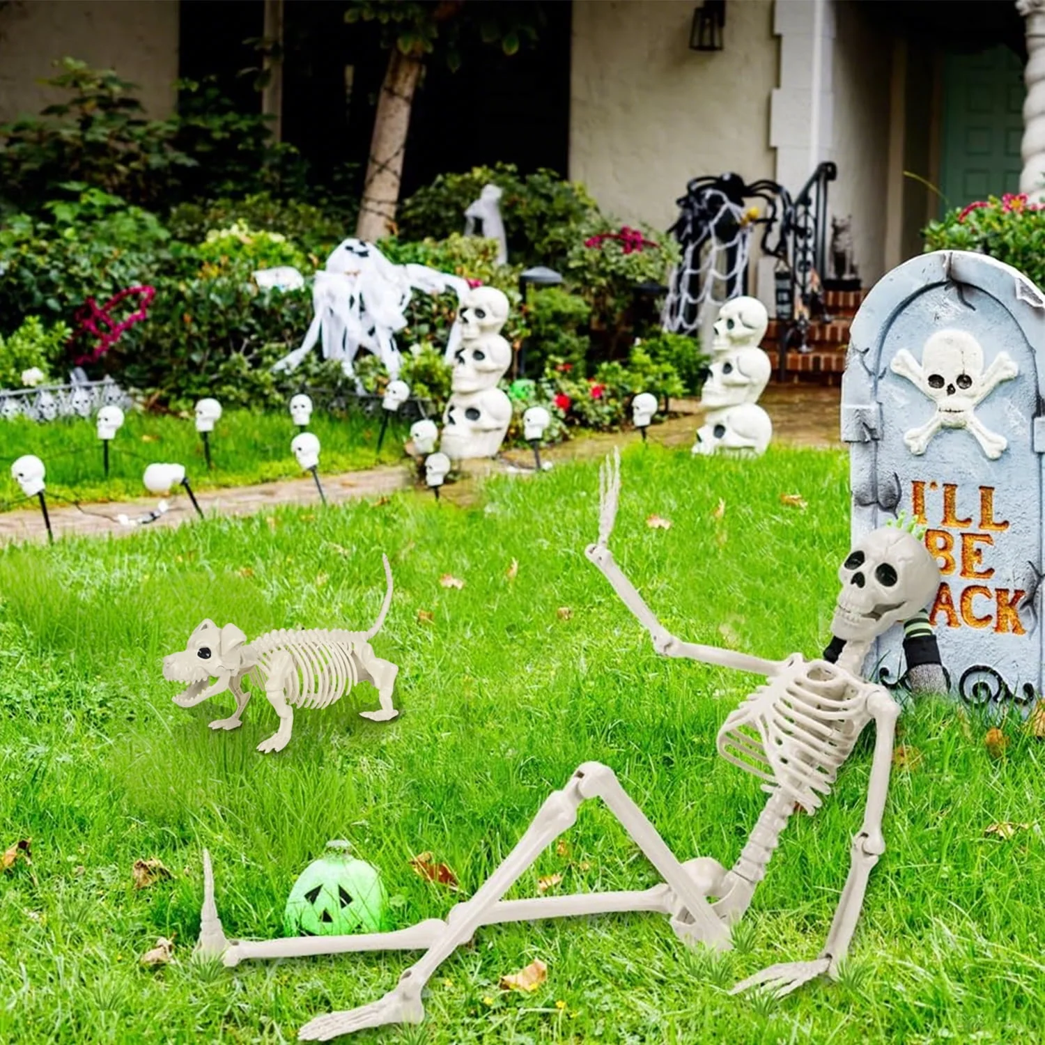 Ayieyill 2pcs Skeleton and Dog Skeleton Halloween Decorations Posable Skeletons Halloween Decorations Indoor Outdoor - Image 6 Ayieyill 2pcs Skeleton and Dog Skeleton Halloween Decorations Posable Skeletons Halloween Decorations Indoor Outdoor - Image 6