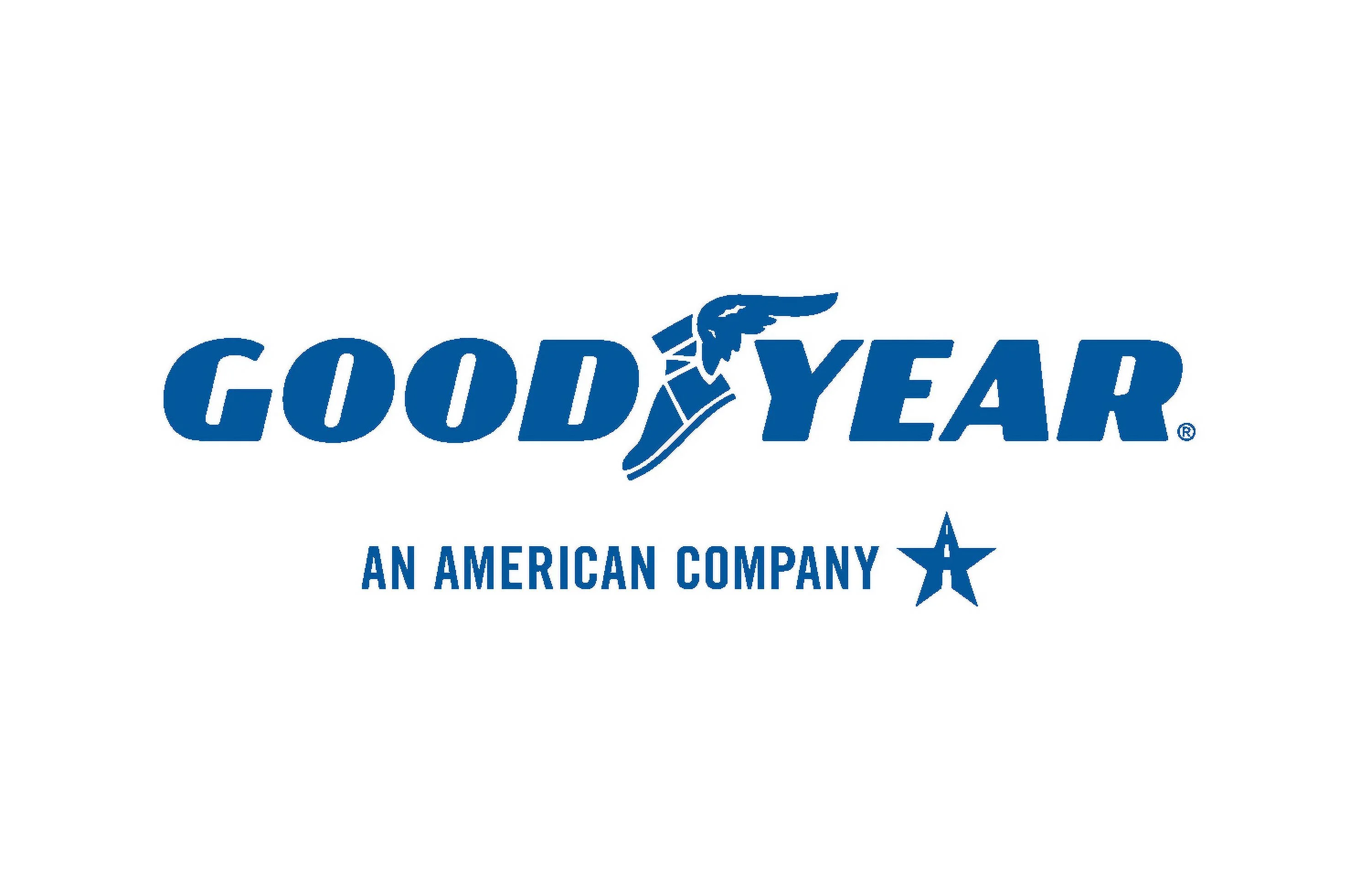 Goodyear Reliant All - Season 205/65R16 95H All - Season Tire