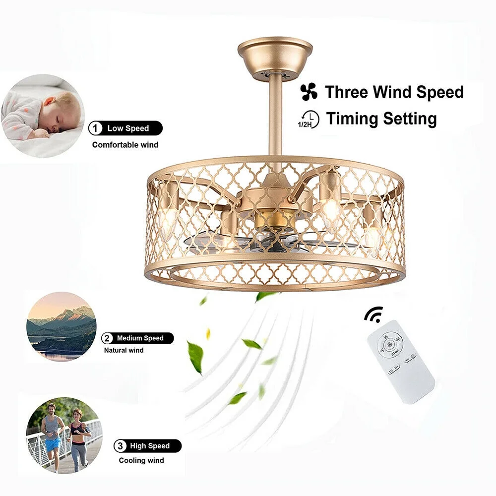 Miumaeov 20 Inch Caged Ceiling Fan with Lights 3 Speeds Adjustable Iron Ceiling Fan Remote Control