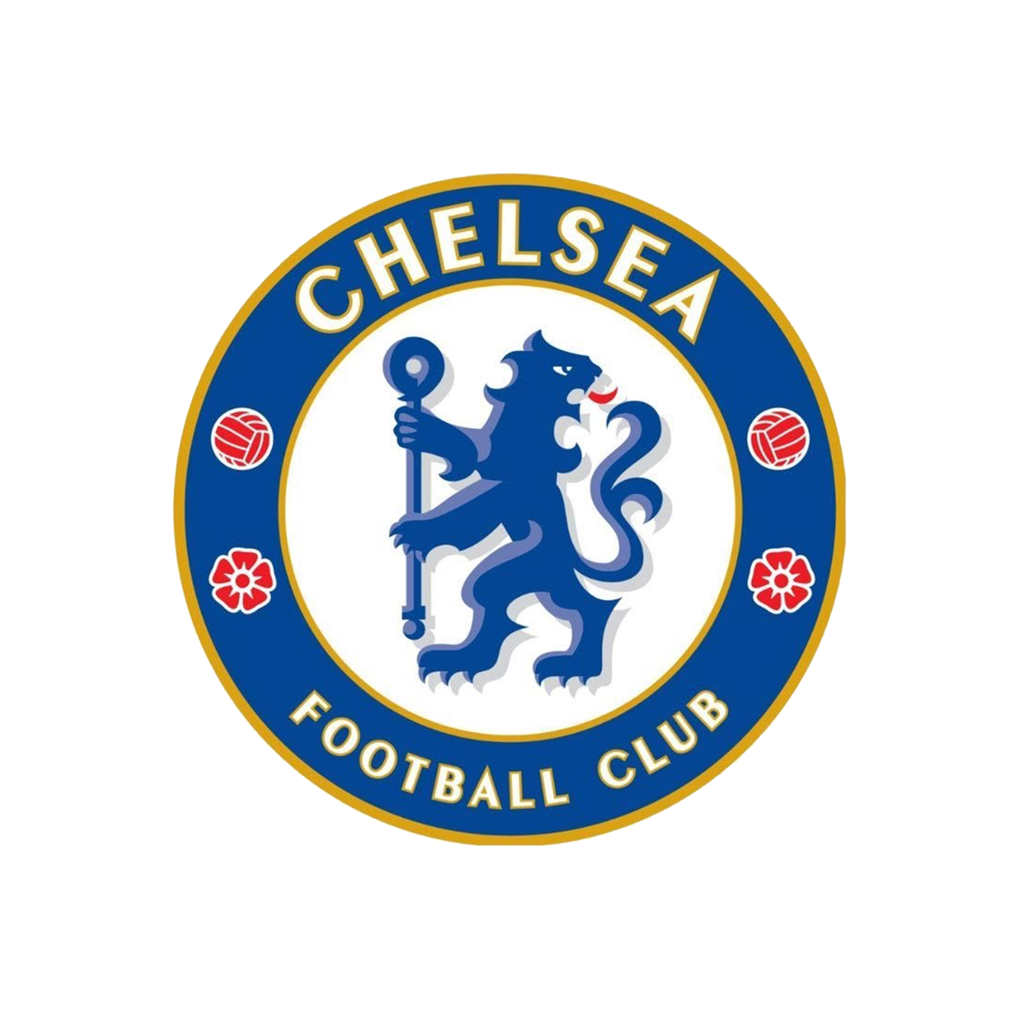 Chelsea - YY Trading Co., Ltd.