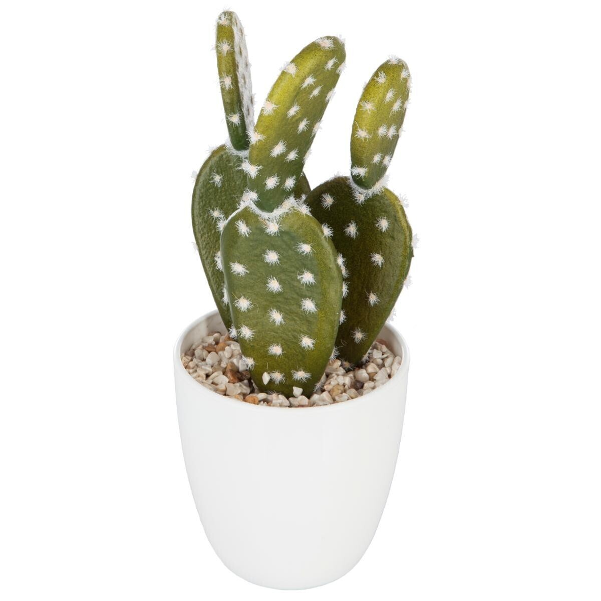Succulent & cactus plant H.18 cm