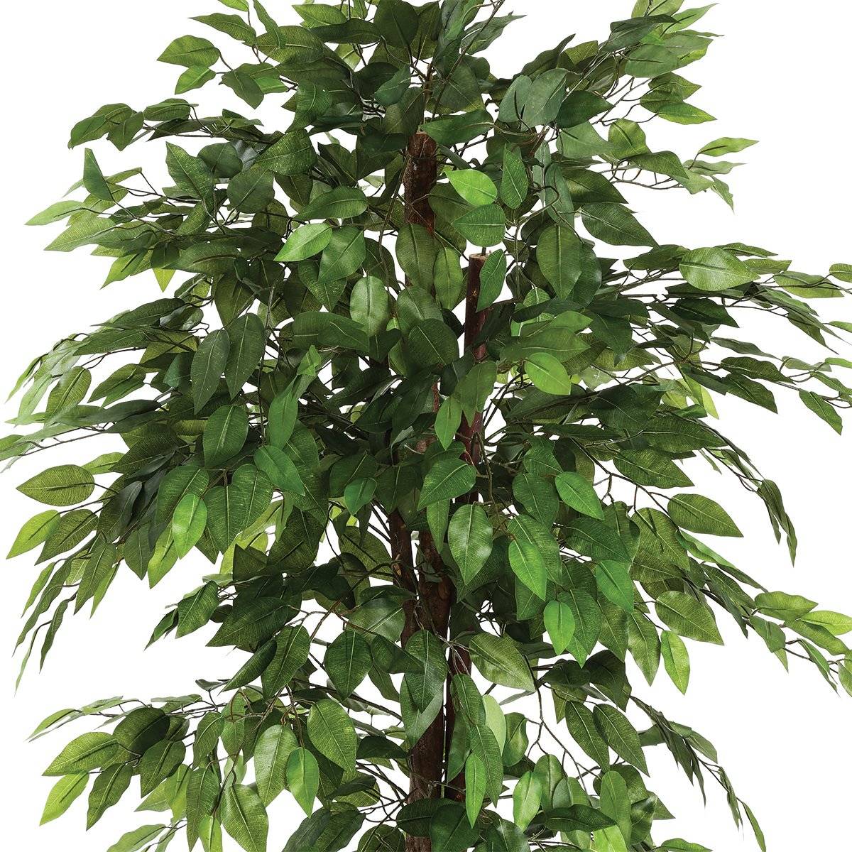 Artificial ficus "Artifices" Green, H.180 cm