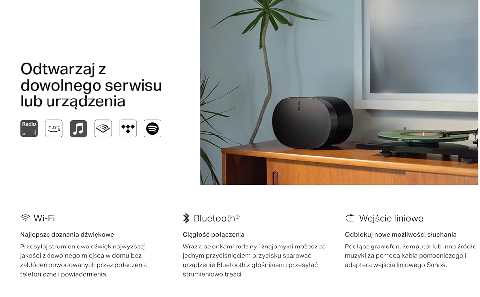 Sonos Era 300