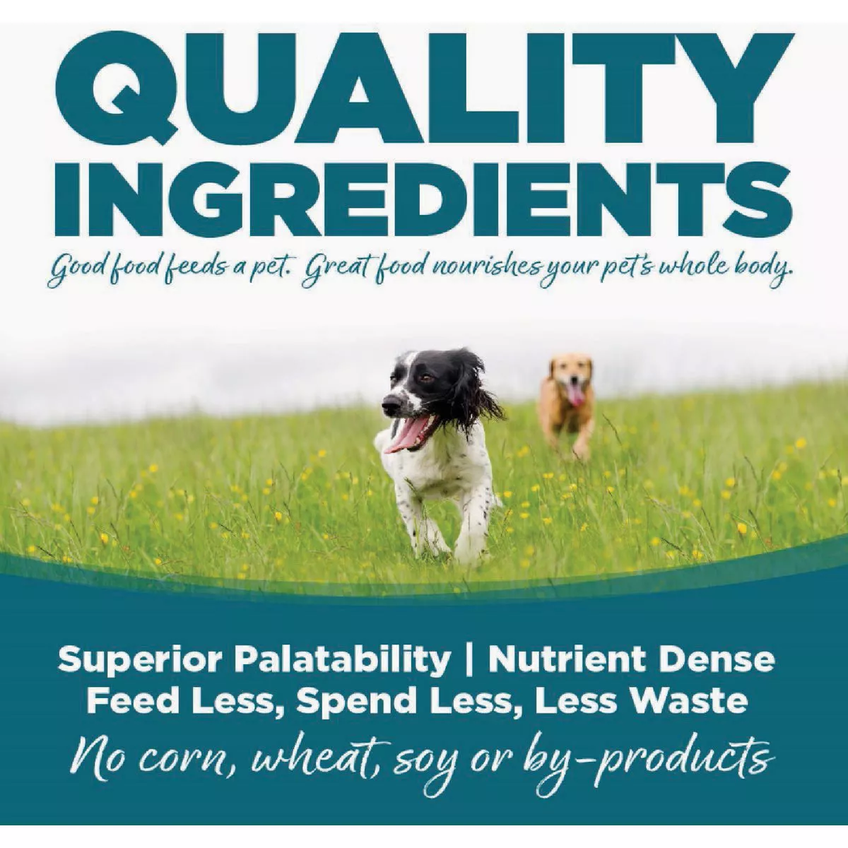 NutriSource 12.3 Oz. Turkey & Rice Recipe Wet Dog Food