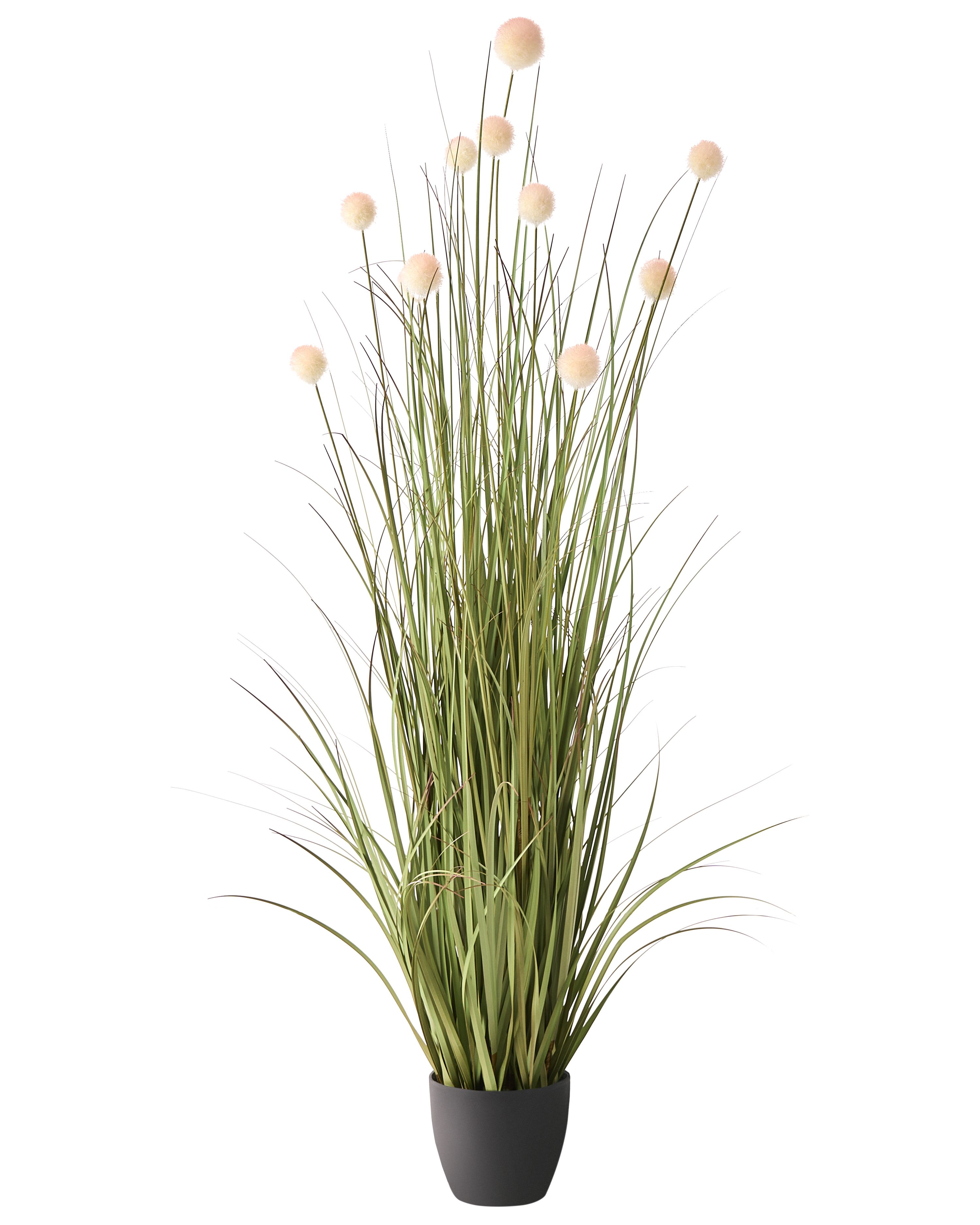 Artificial Plant POMPOM GRASS 120 cm Green