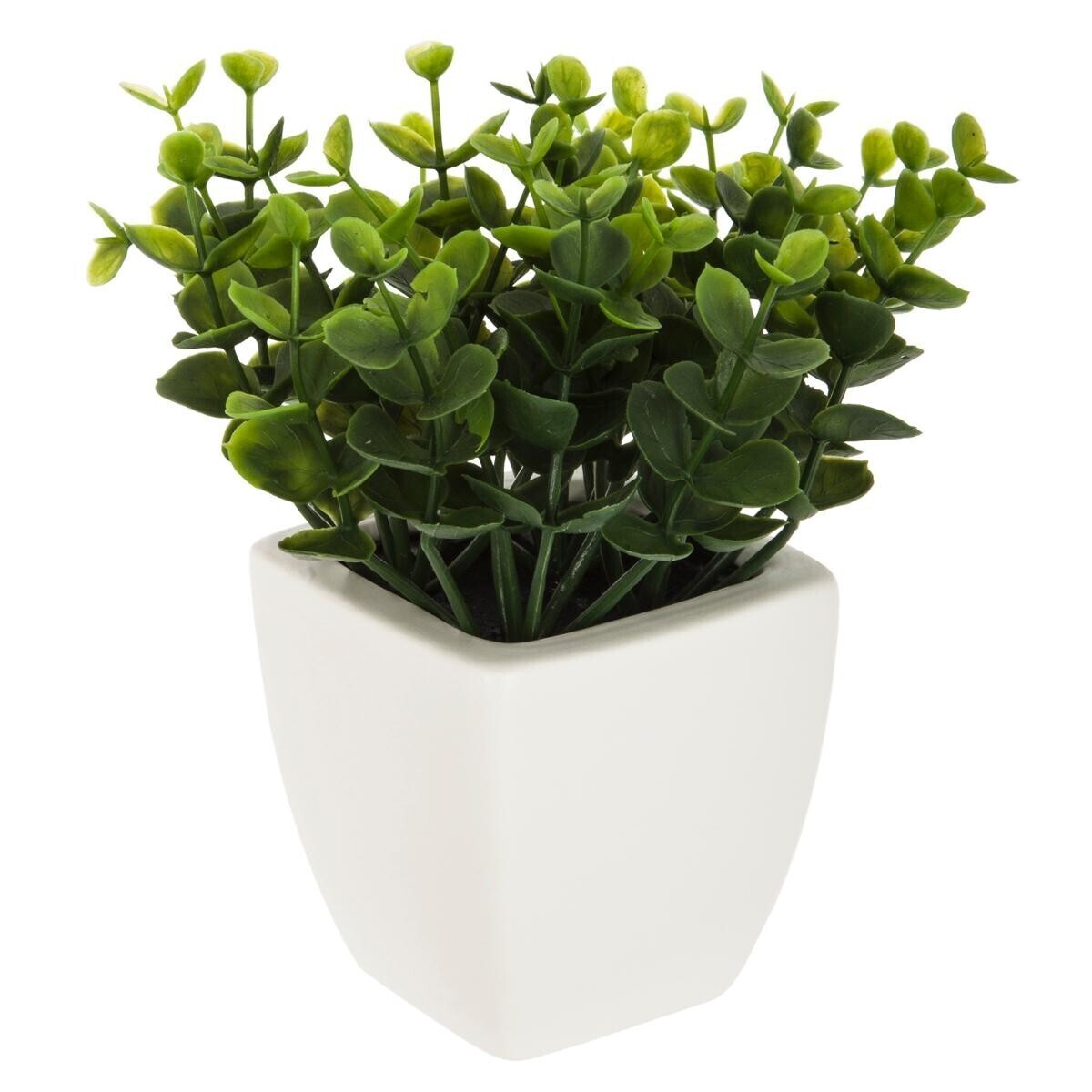 Artificial plant Ceramic pot, H.16 cm