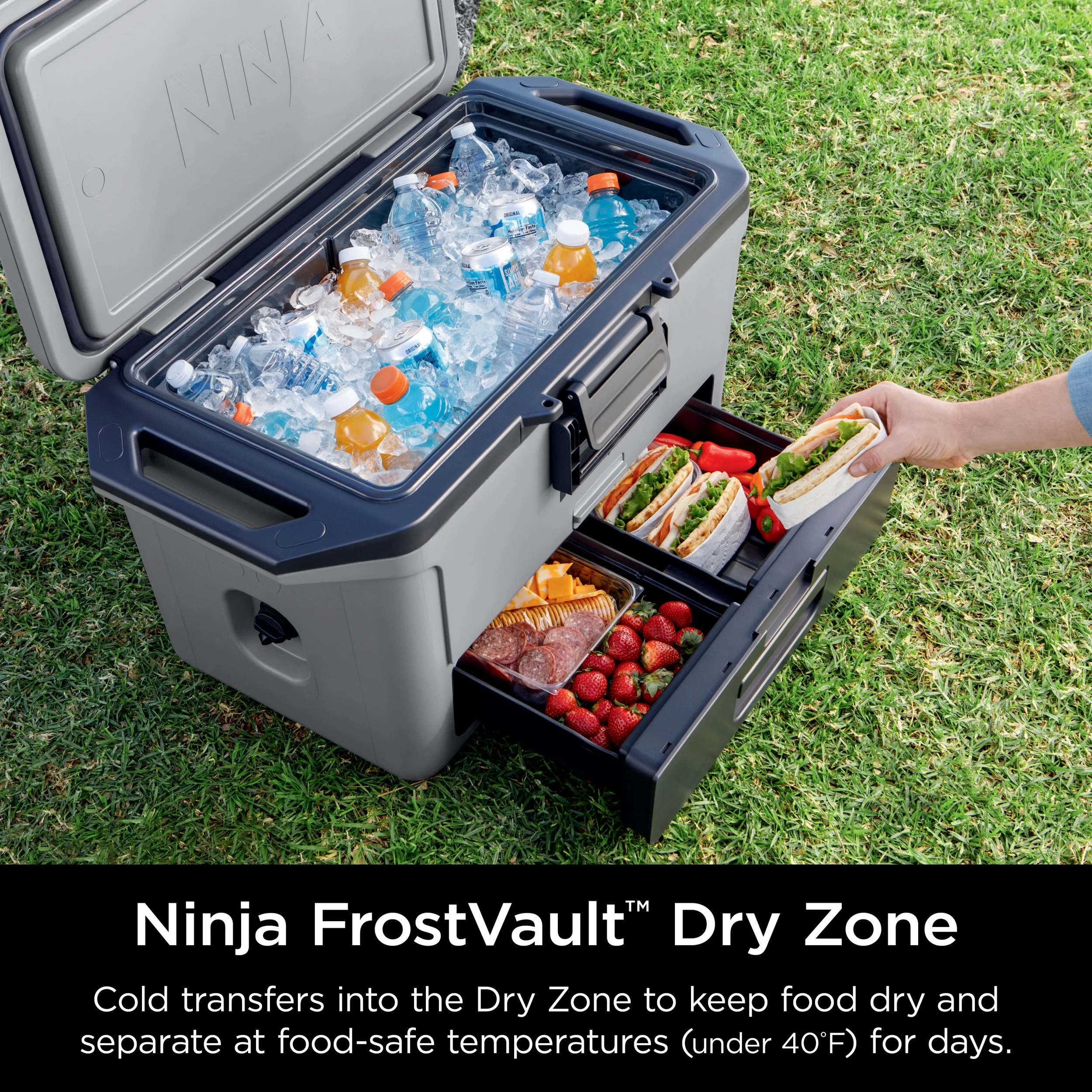 Ninja FrostVault 50qt Hard Cooler with Dry Zone, Gray, FB151GY - Image 4