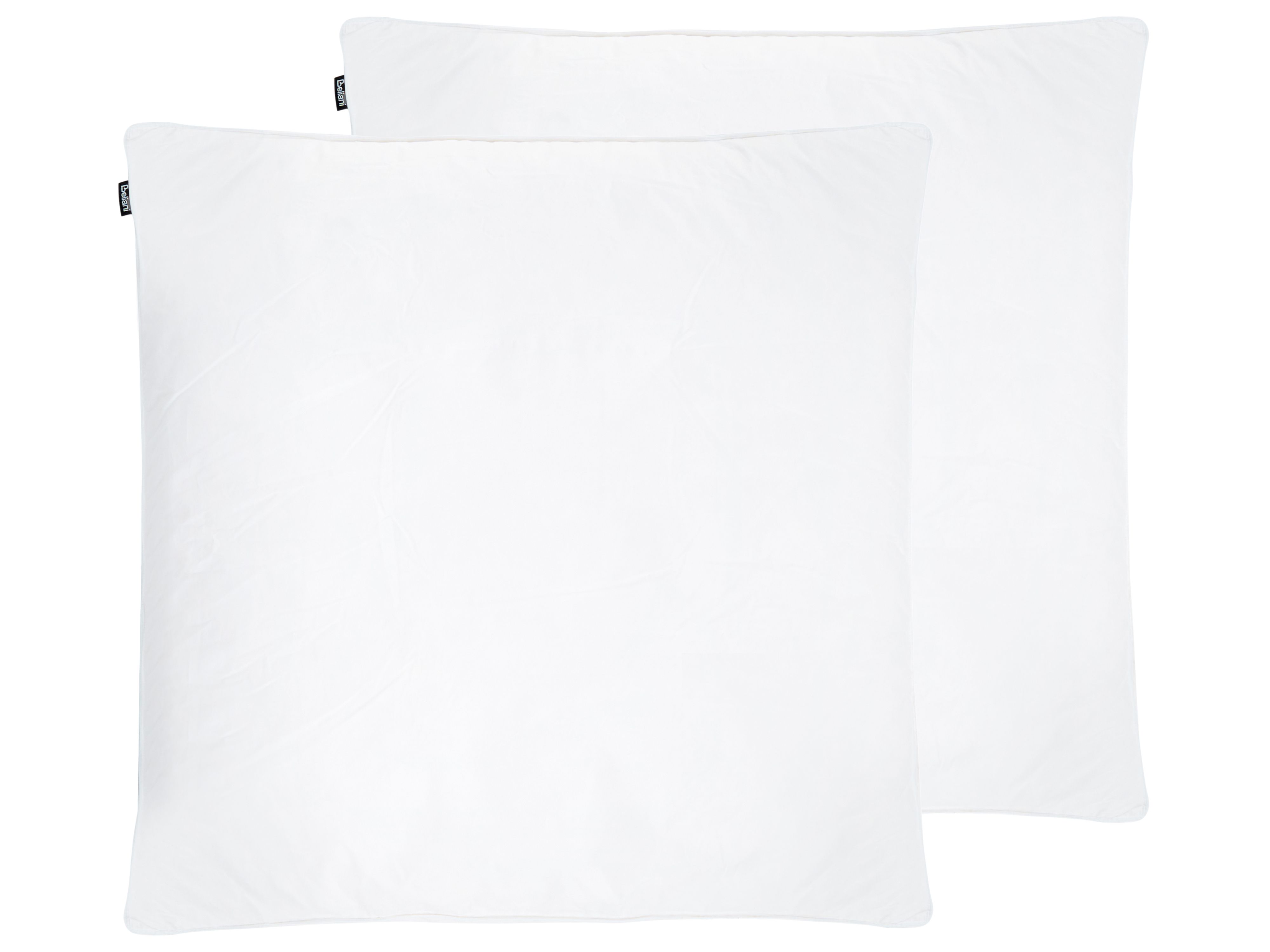 Set of 2 Pillows FELDBERG High Duck Feathers and Down 80 x 80 cm White