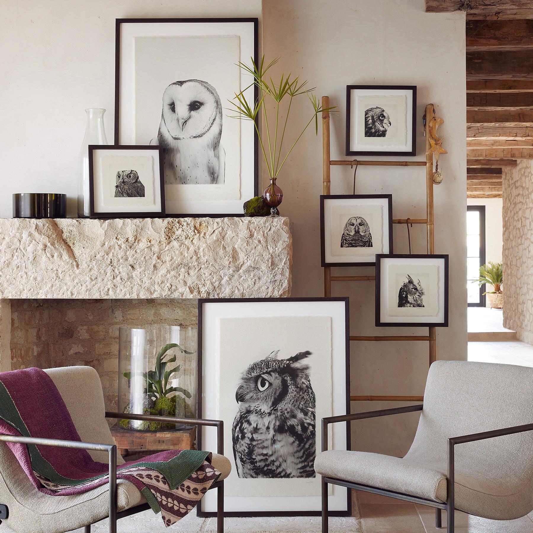 Owl Prints - Sundance Clothing